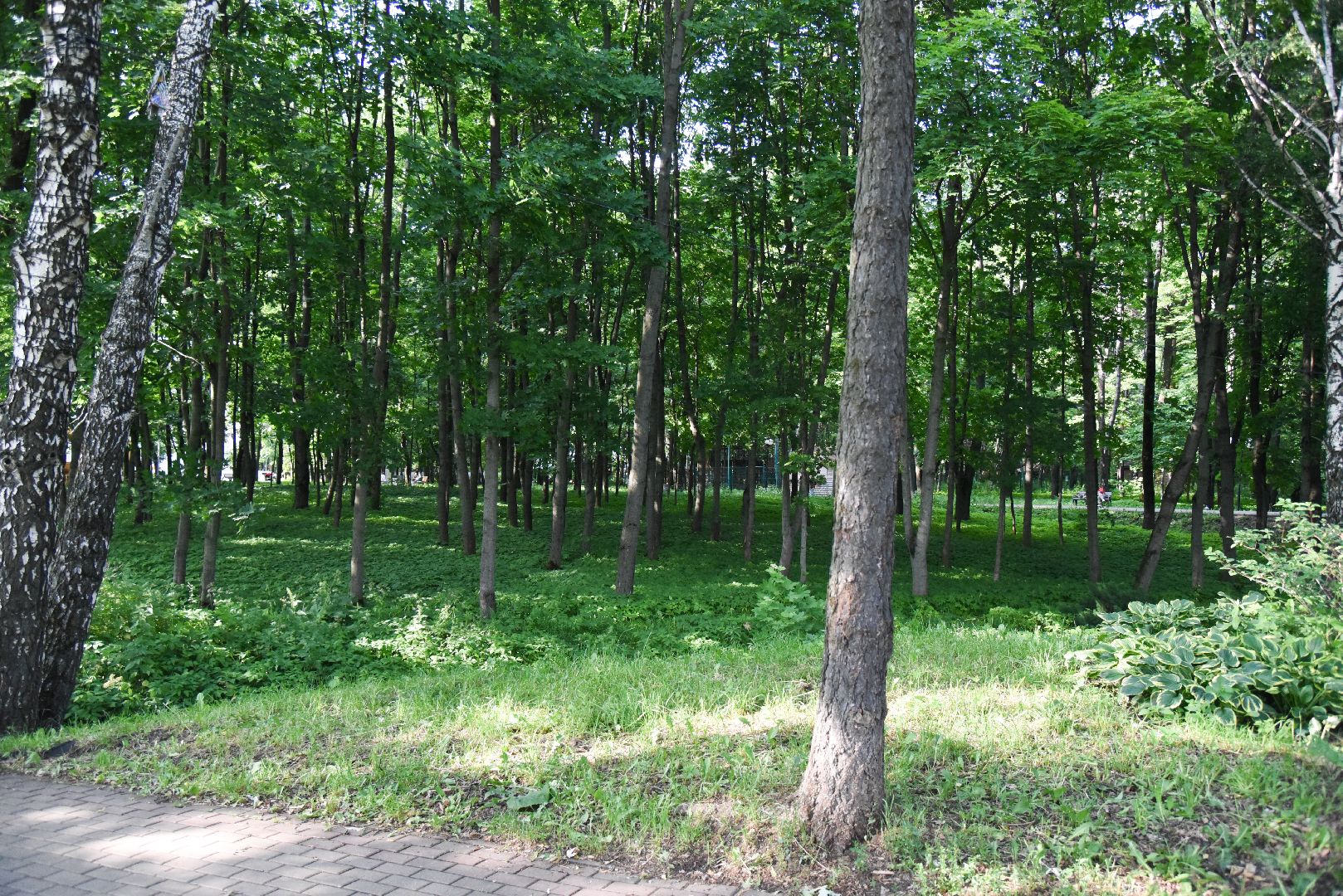 Химки, пожар, безопасность