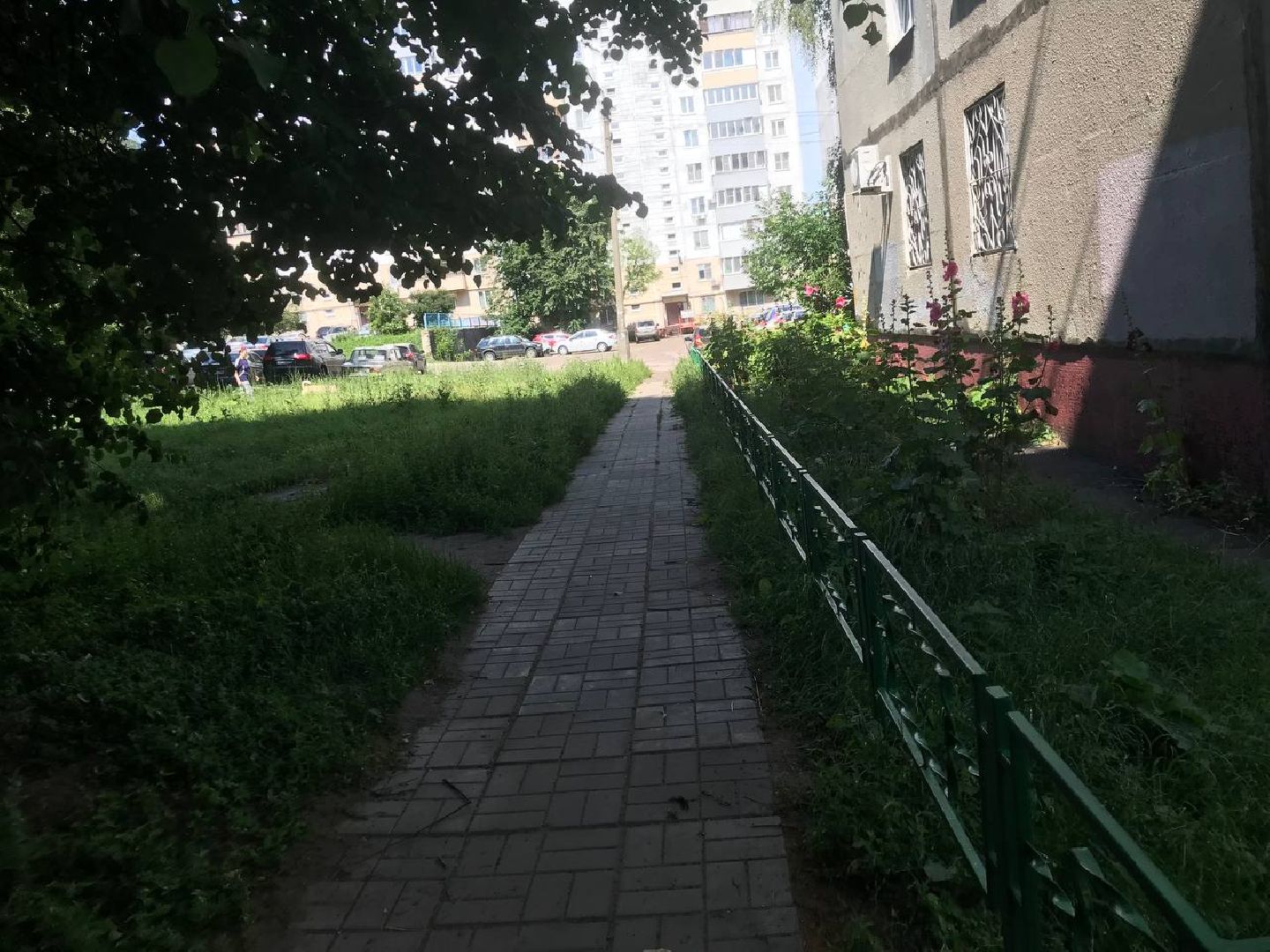 Коломна, благоустройство, общество