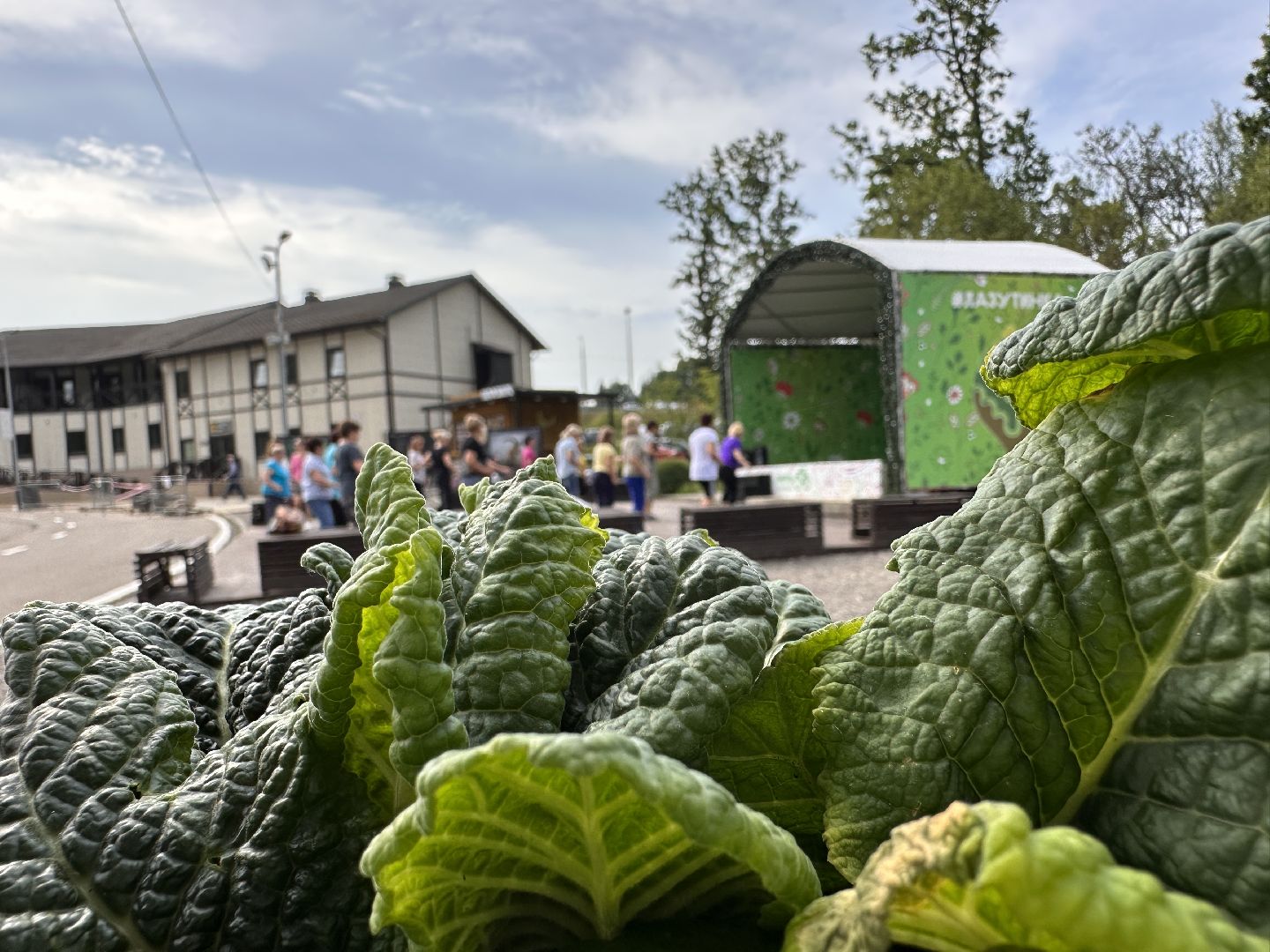 Одинцово, Активное Долголетие, Зумба, Подмосковье