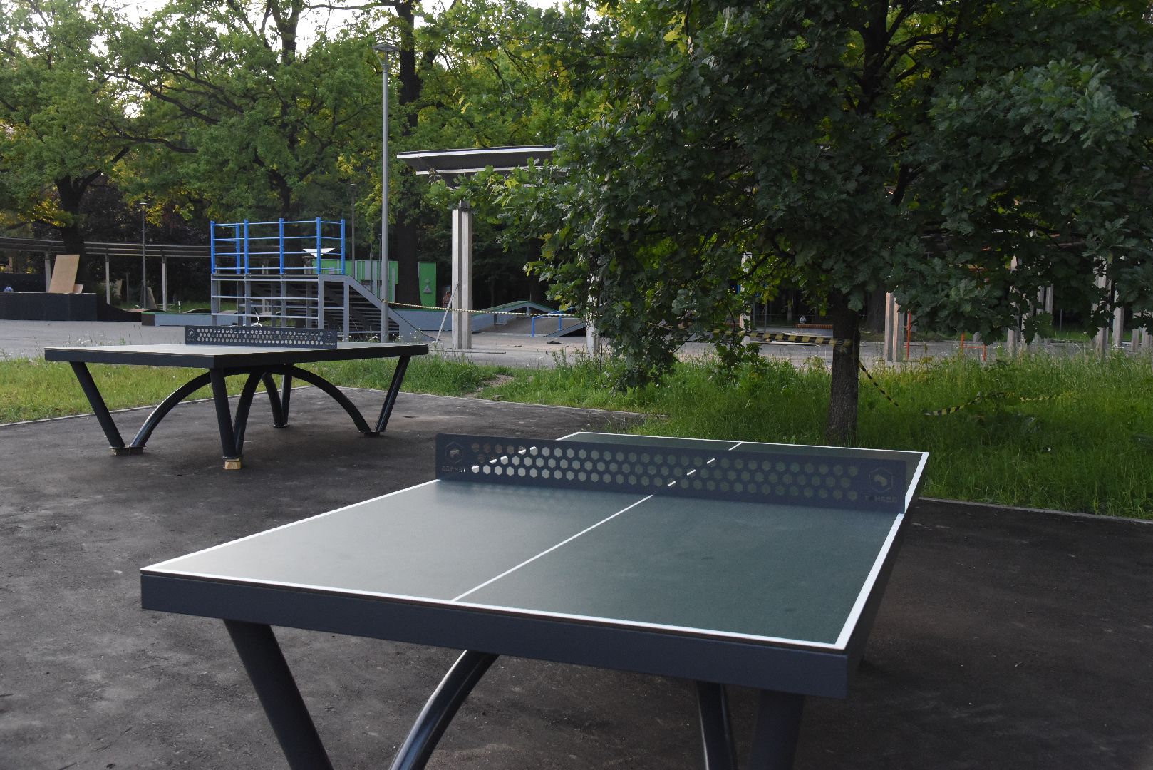 Химки, парк, благоустройство, спорт