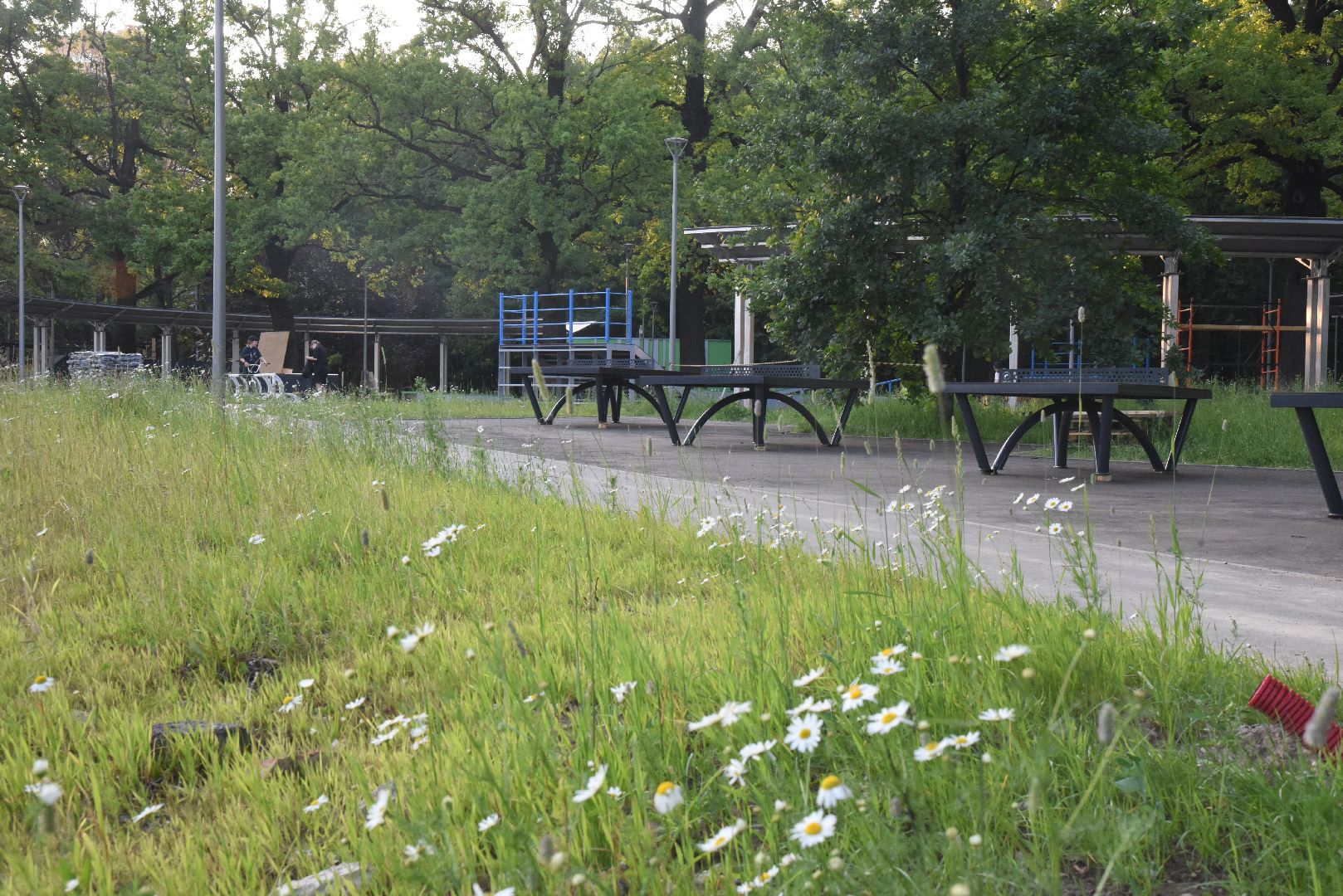 Химки, парк, благоустройство, спорт