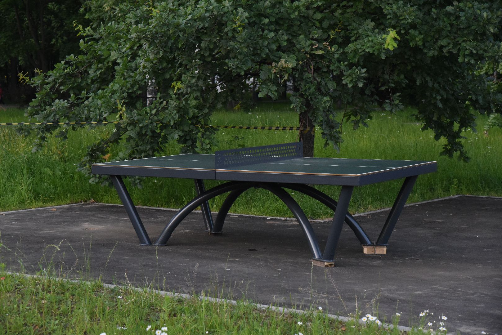 Химки, парк, благоустройство, спорт