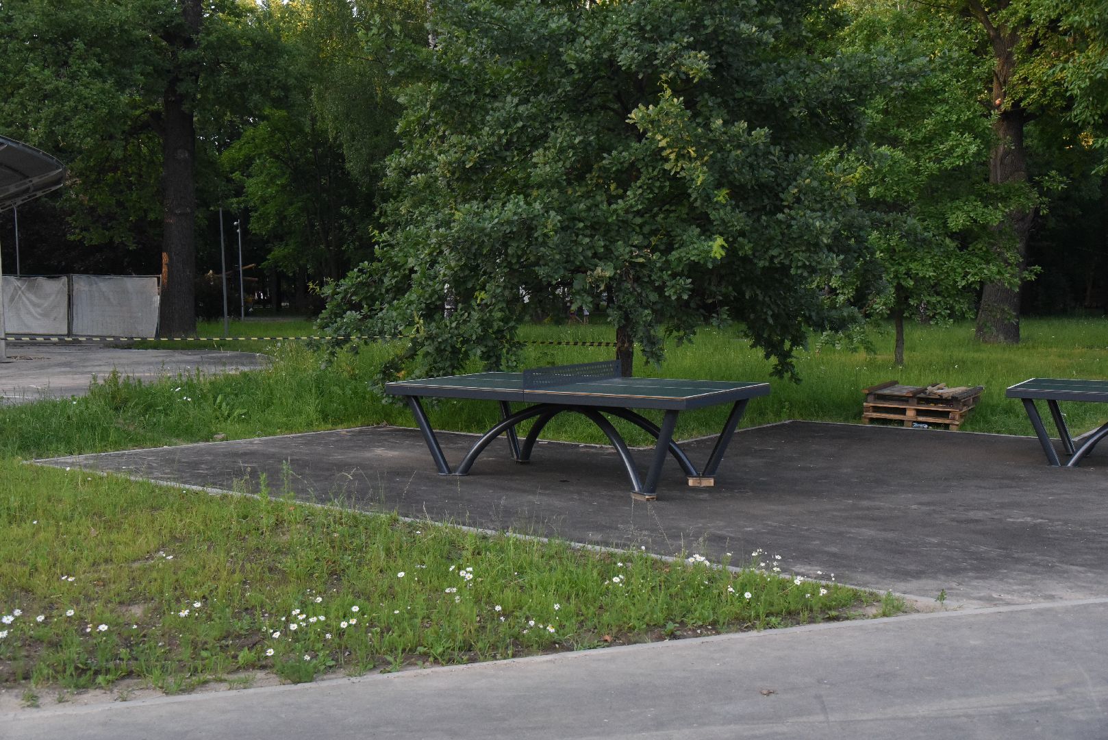 Химки, парк, благоустройство, спорт