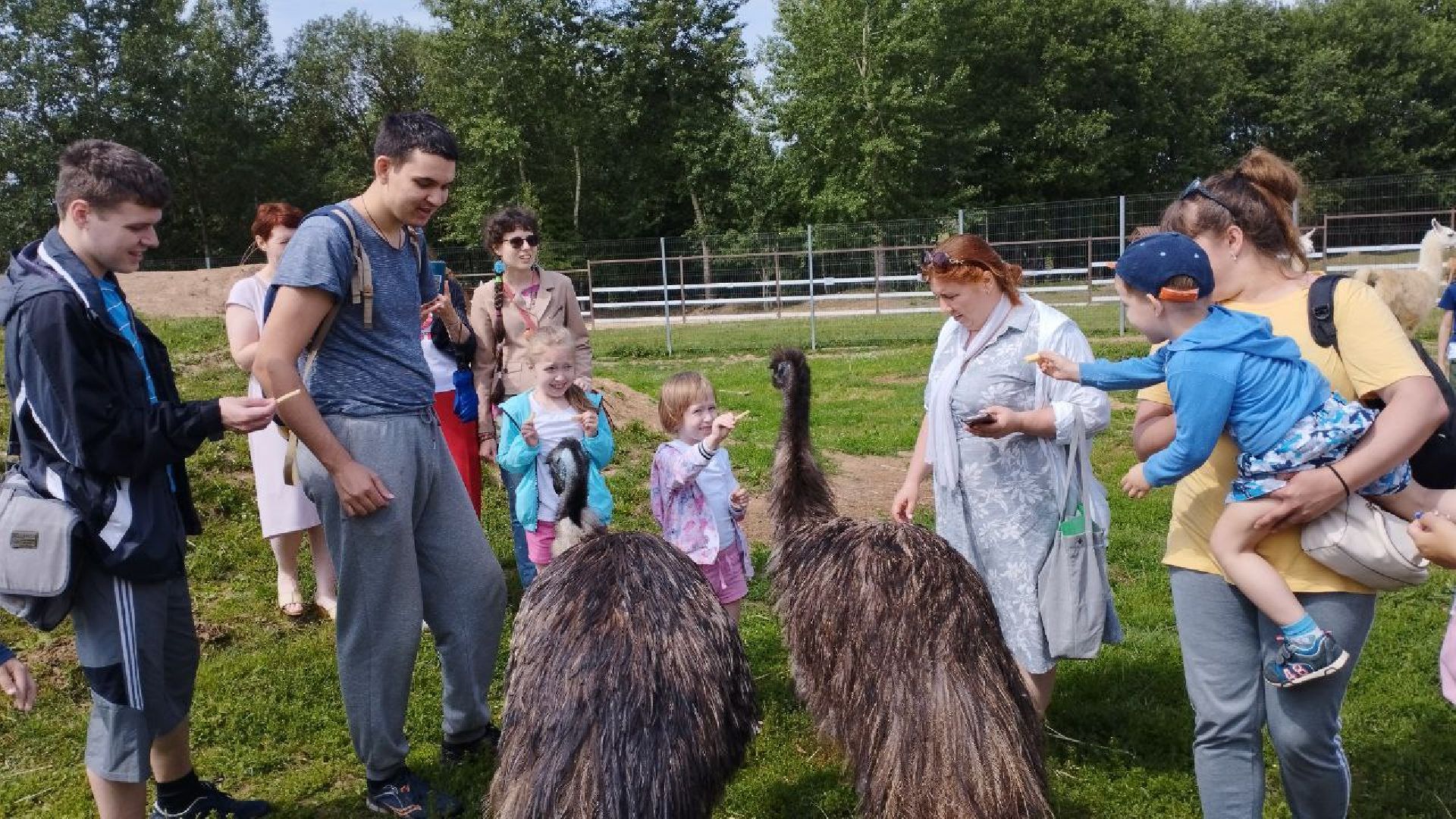 Подмосковье, Ивантеевка, дети, инвалиды