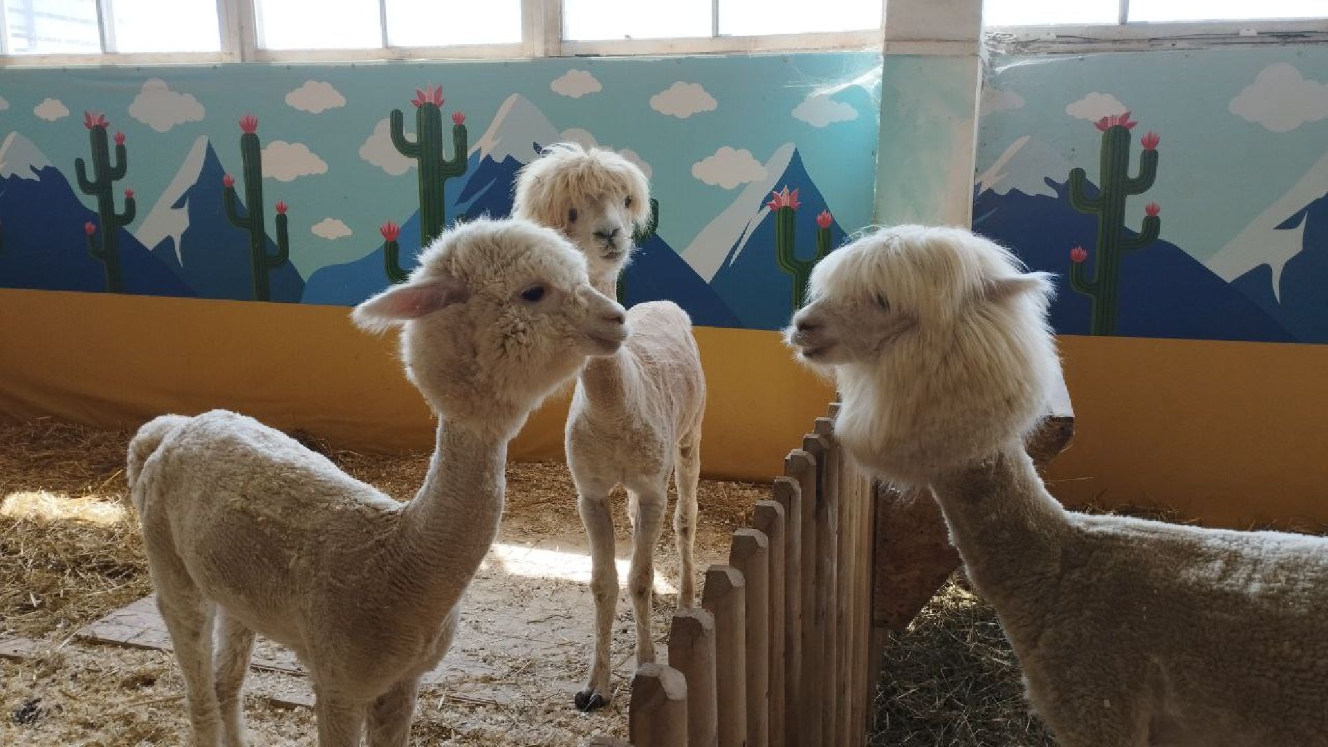 Подмосковье, Ивантеевка, дети, инвалиды