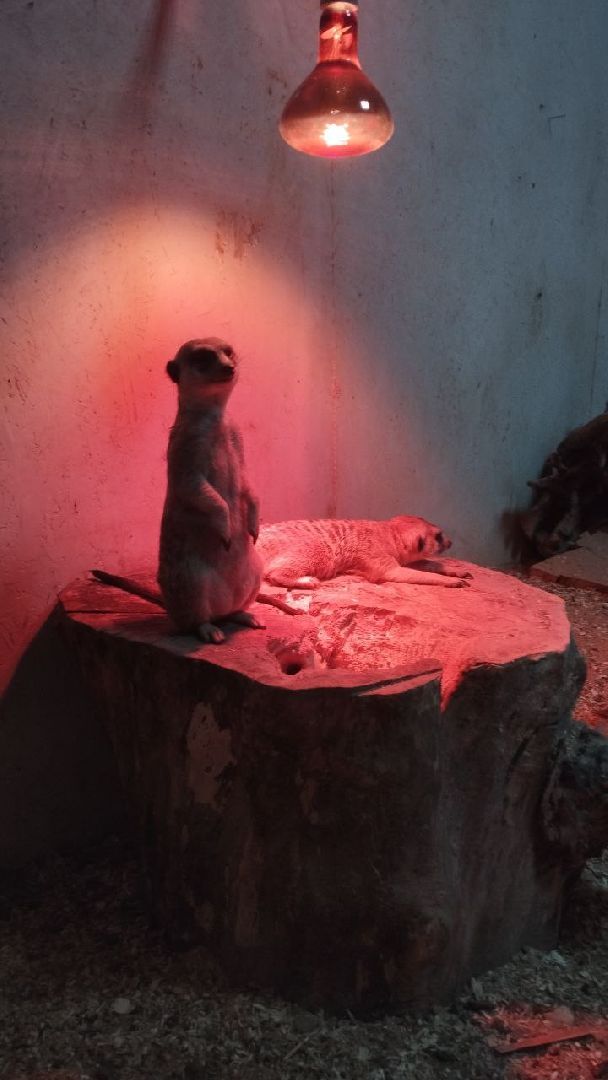 Подмосковье, Ивантеевка, дети, инвалиды