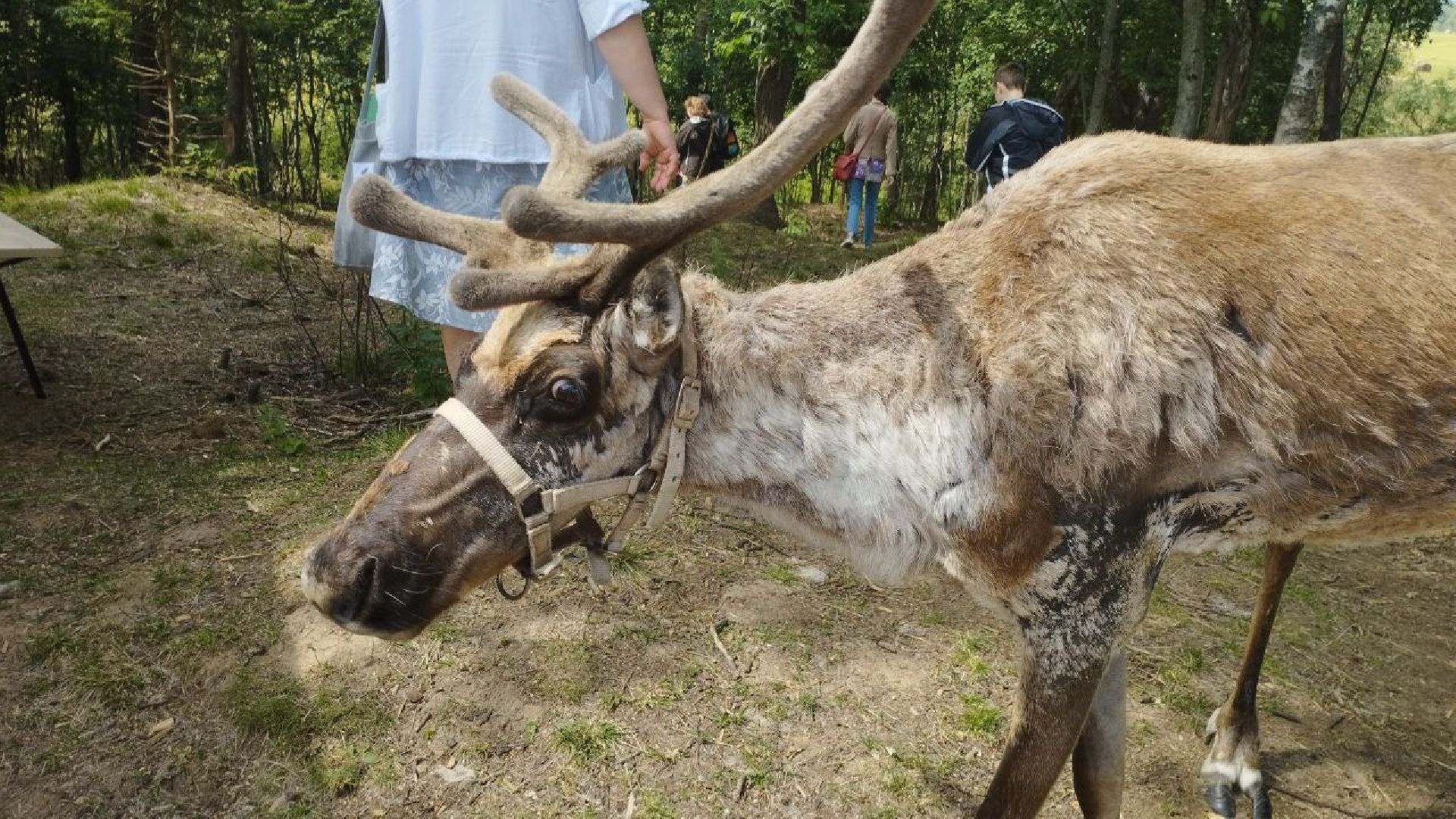 Подмосковье, Ивантеевка, дети, инвалиды