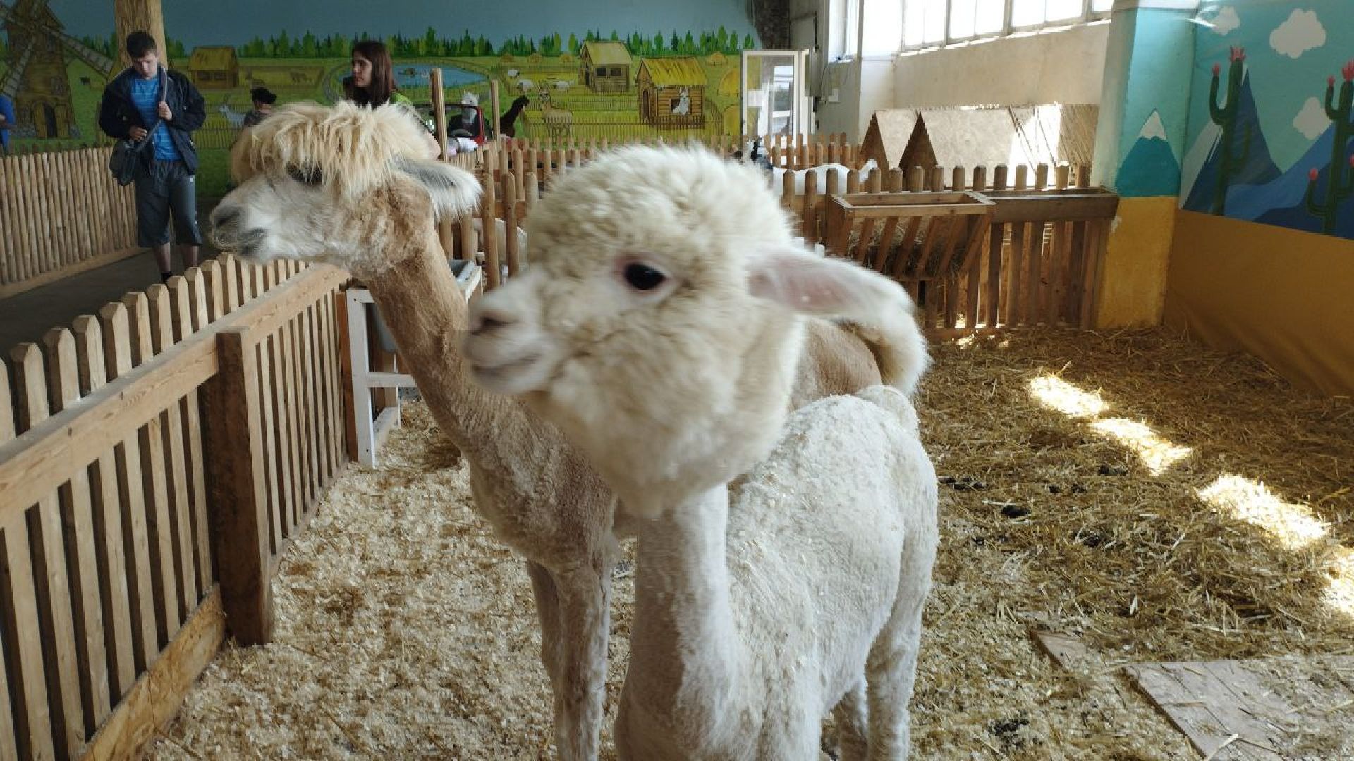 Подмосковье, Ивантеевка, дети, инвалиды