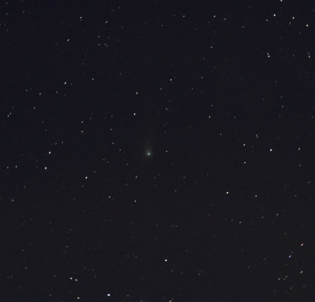 Лобня, города