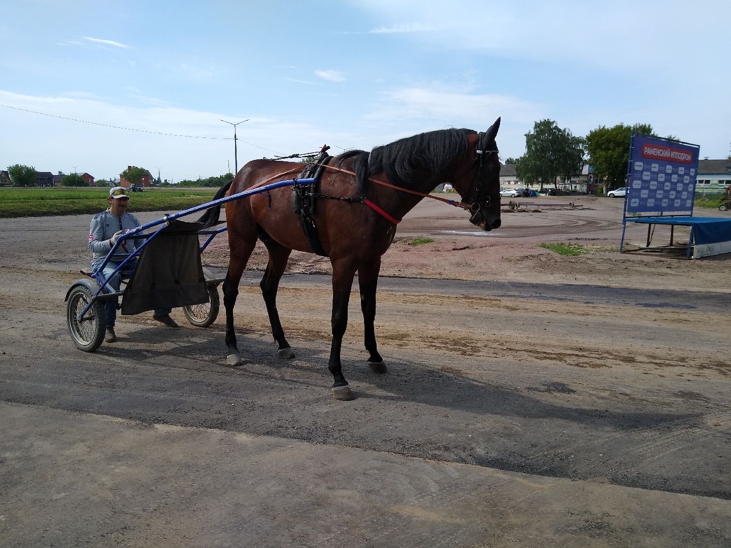 Раменское, спорт, новые конюшни на Раменском ипподроме