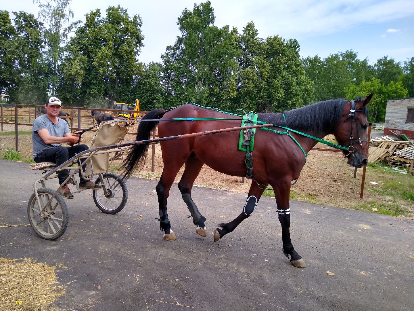 Раменское, спорт, новые конюшни на Раменском ипподроме