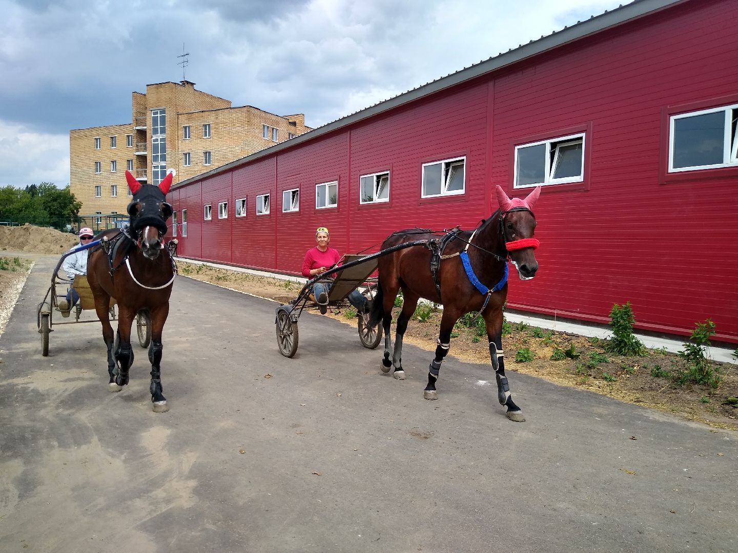 Раменское, спорт, новые конюшни на Раменском ипподроме