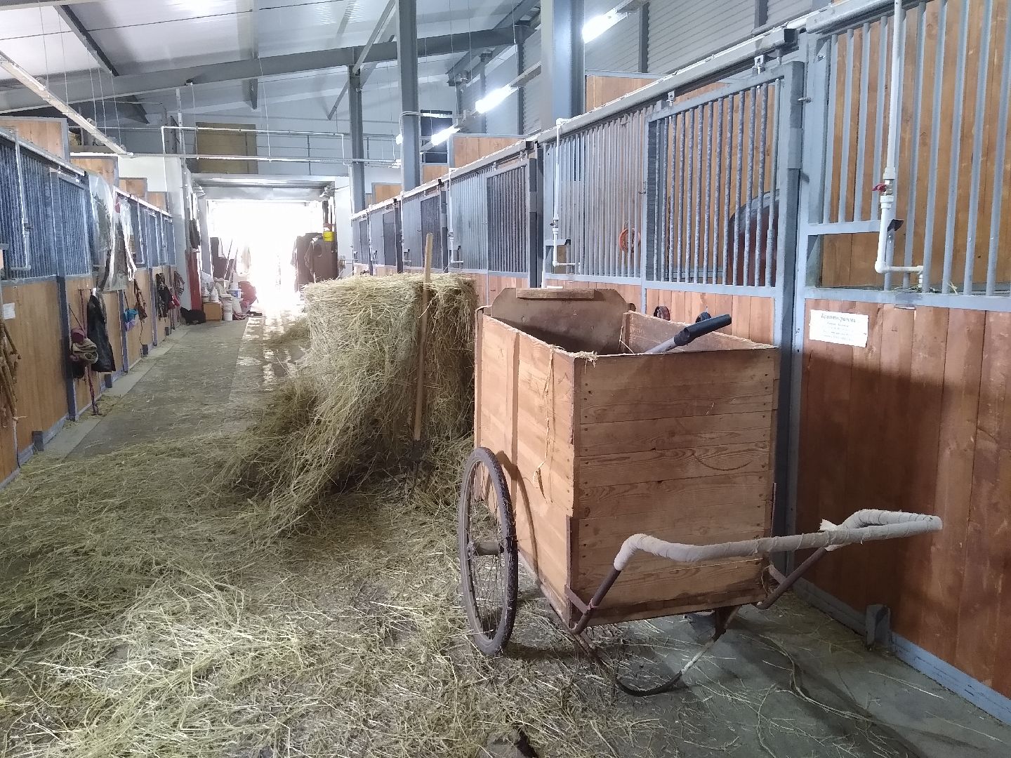 Раменское, спорт, новые конюшни на Раменском ипподроме