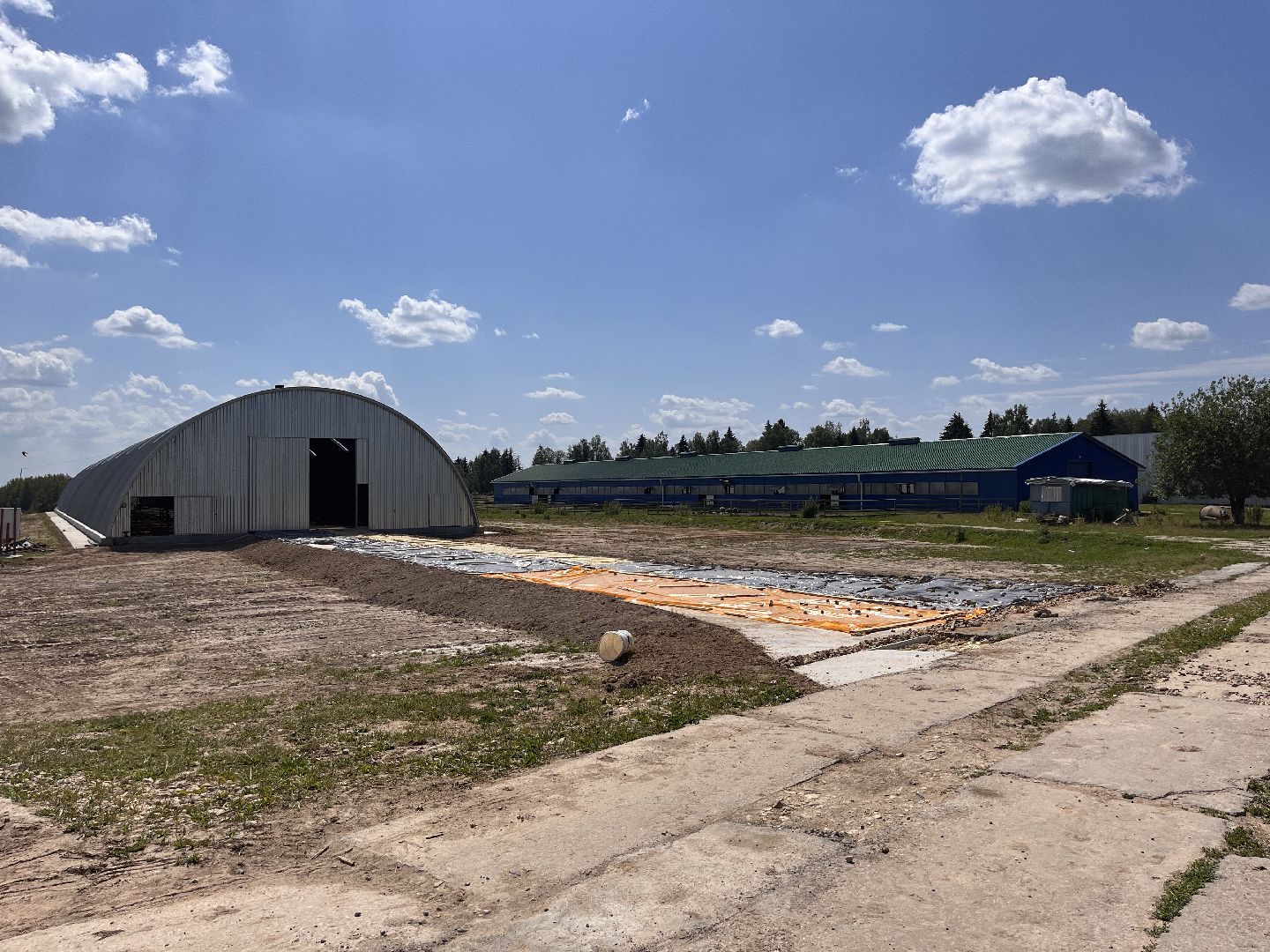 Шаховская, поля, сев, сено, трава