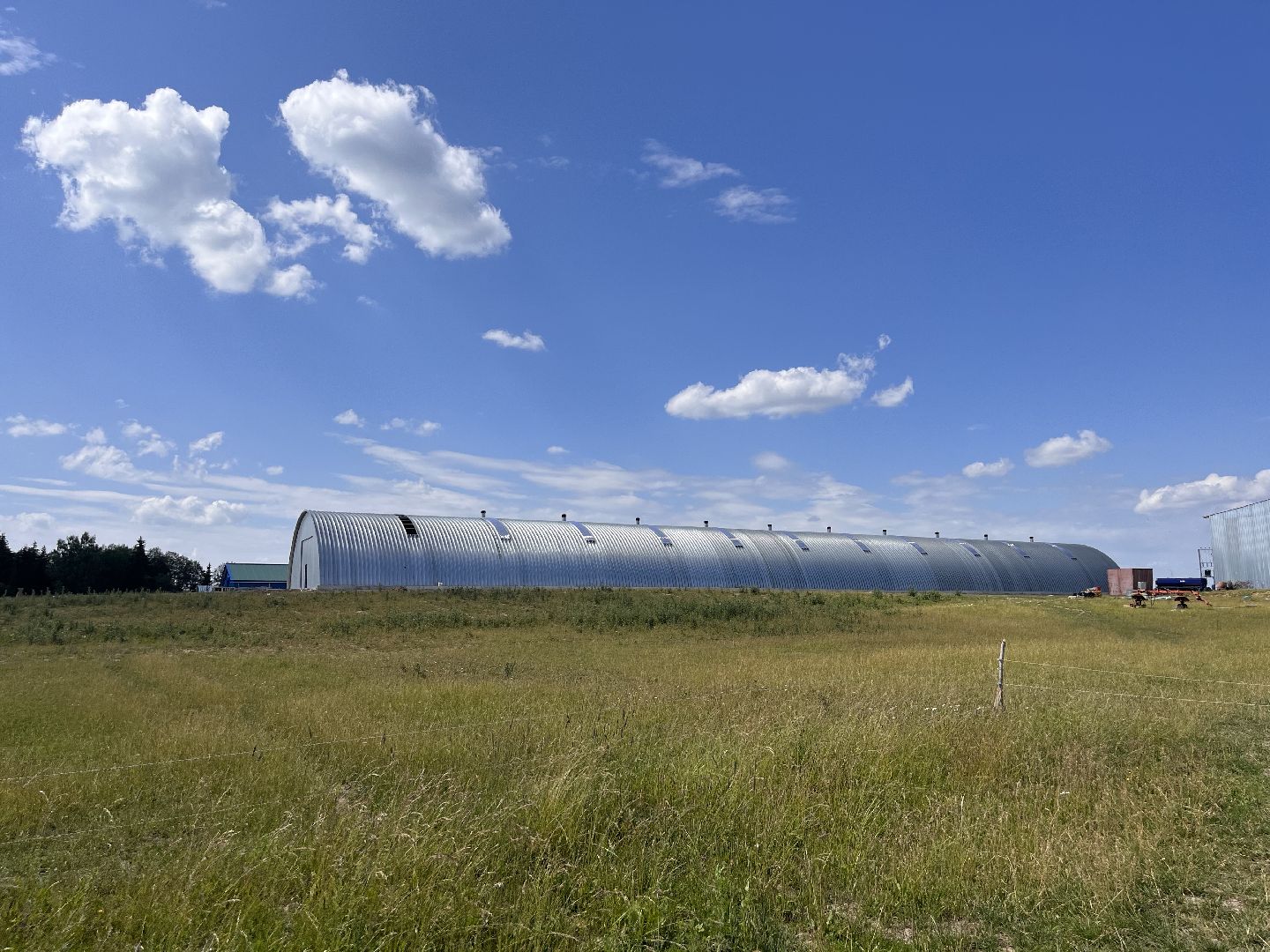 Шаховская, поля, сев, сено, трава