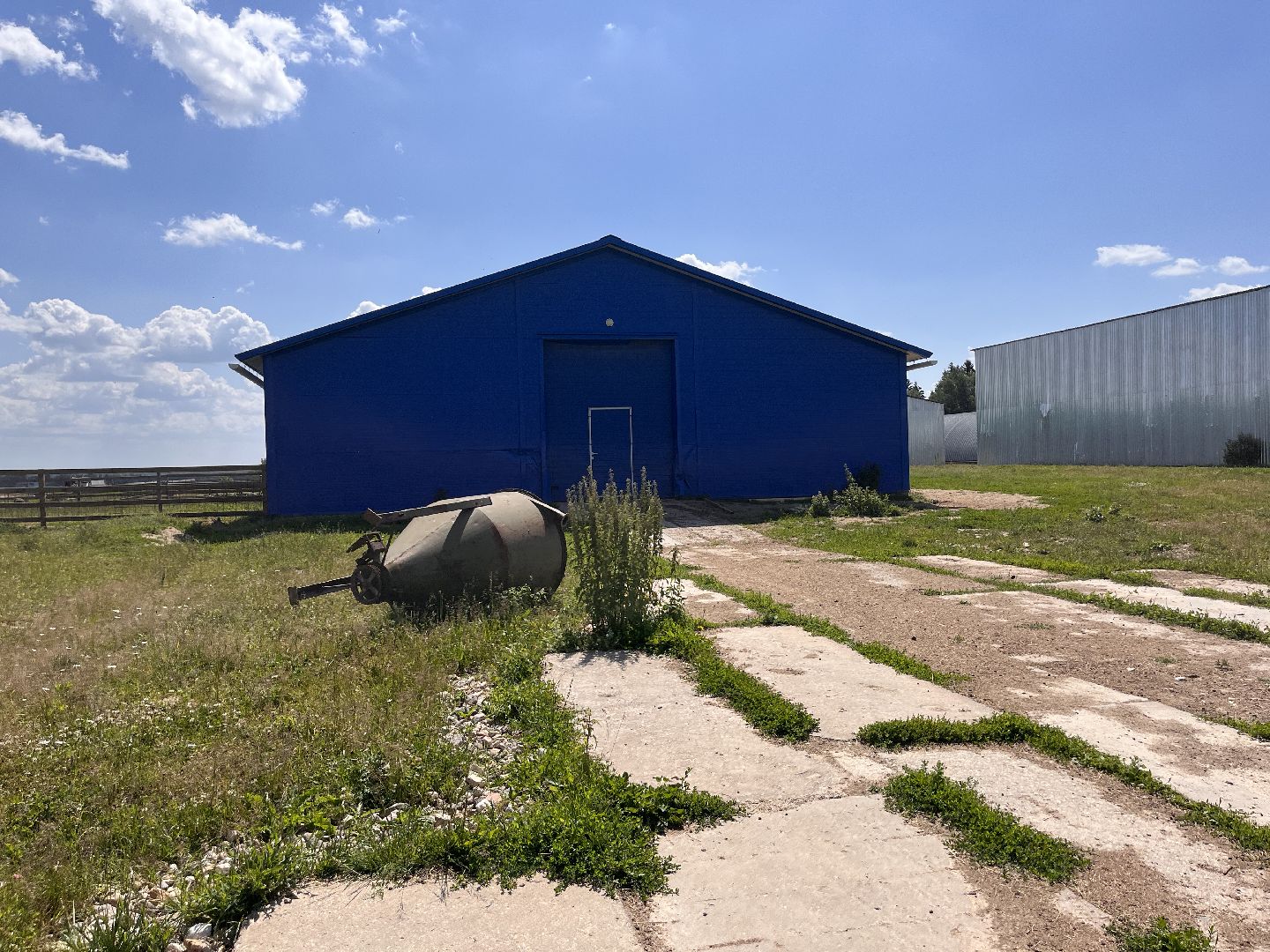 Шаховская, поля, сев, сено, трава