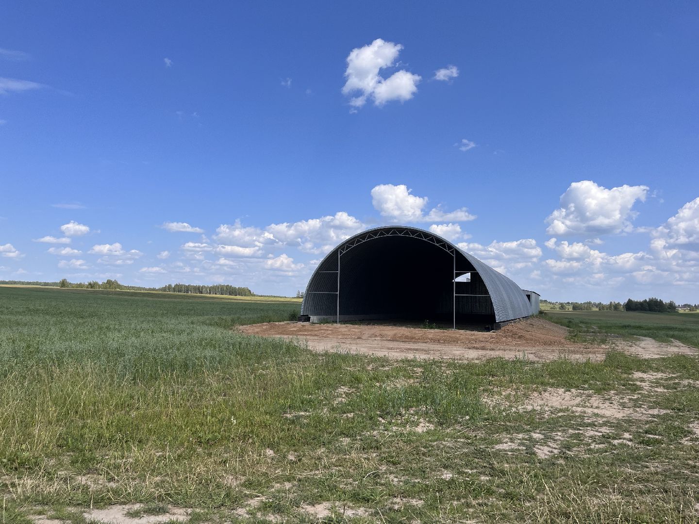 Шаховская, поля, сев, сено, трава