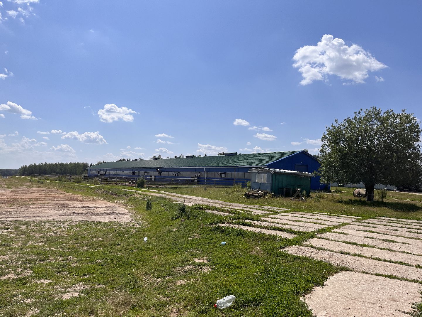 Шаховская, поля, сев, сено, трава