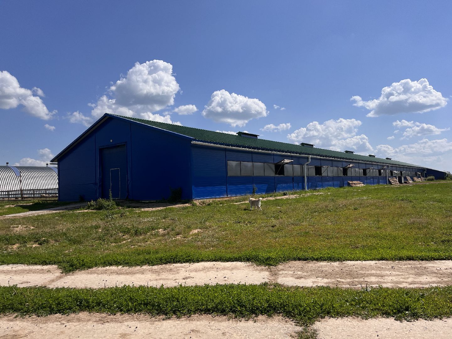 Шаховская, поля, сев, сено, трава