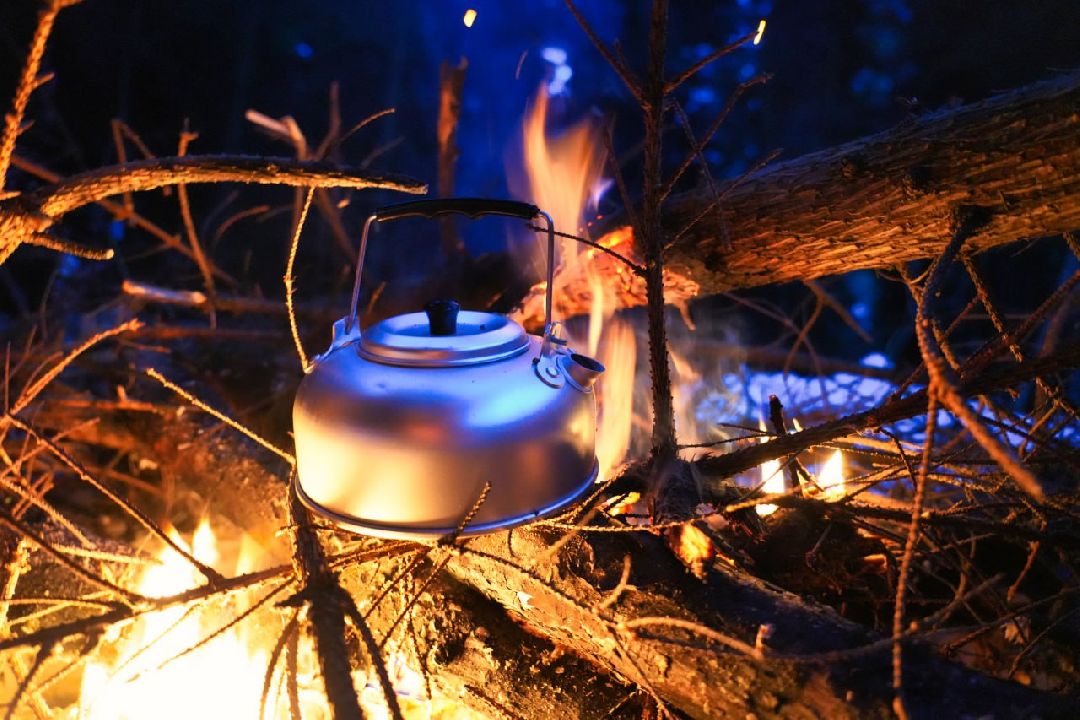 Сергиев Посад, Сергиево-Посадский округ, Лес, Безопасность