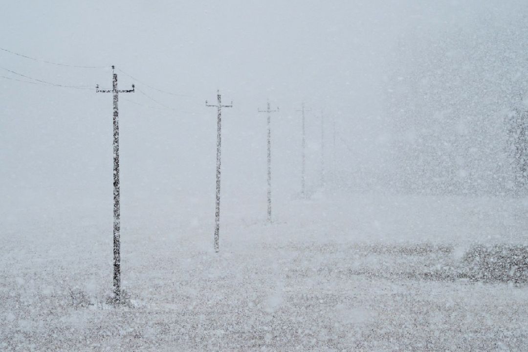 Сергиев Посад, Сергиево-Посадский округ, Лес, Безопасность