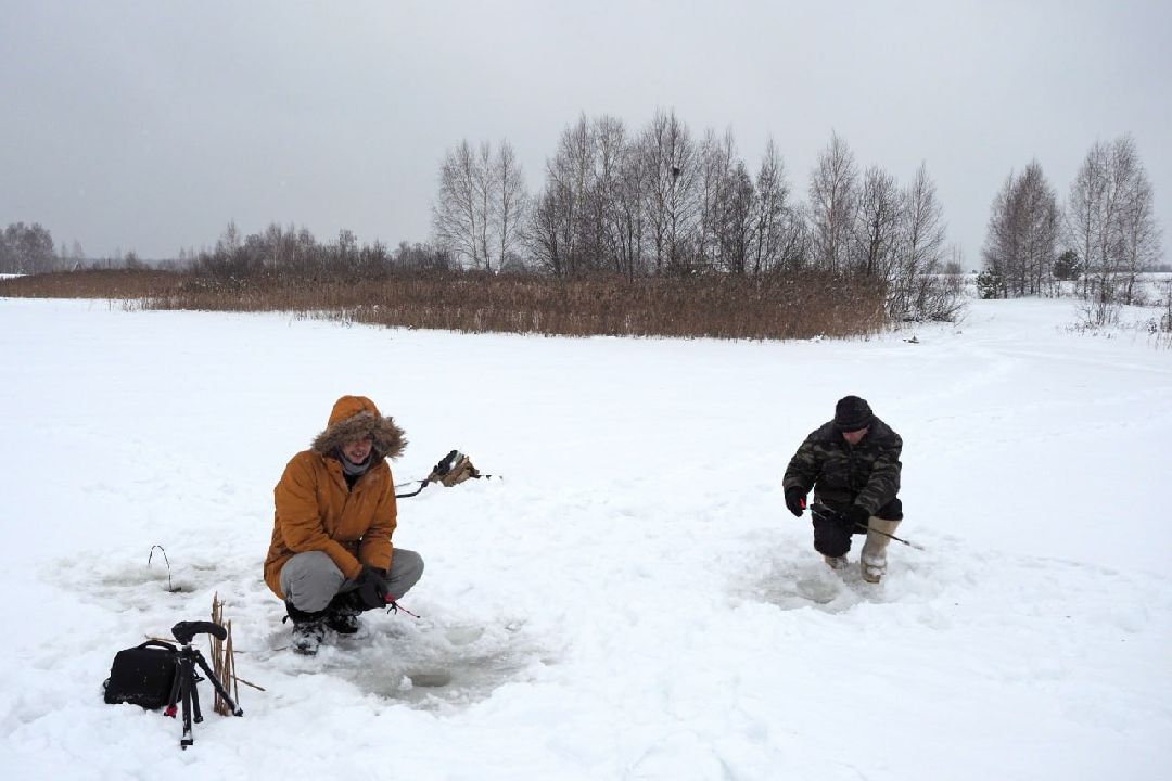 Сергиев Посад, Сергиево-Посадский округ, Лес, Безопасность