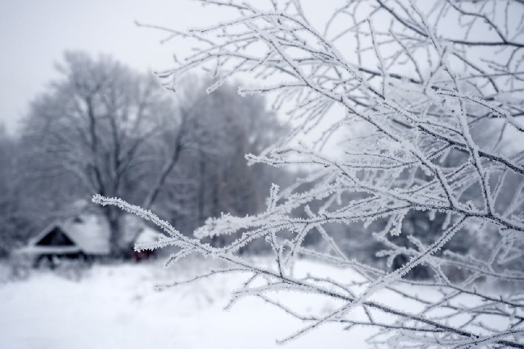 Сергиев Посад, Сергиево-Посадский округ, Лес, Безопасность