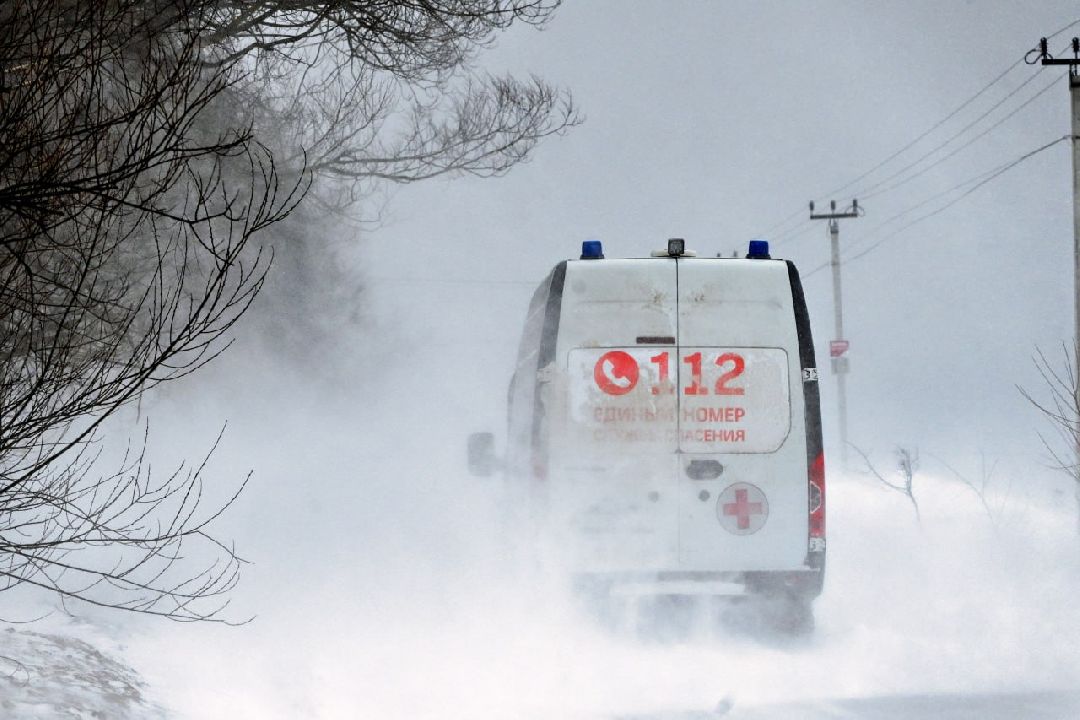 Сергиев Посад, Сергиево-Посадский округ, Лес, Безопасность