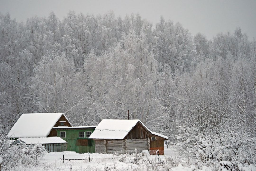 Сергиев Посад, Сергиево-Посадский округ, Лес, Безопасность