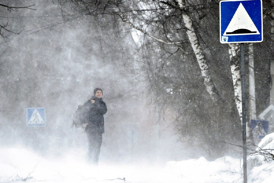 Сергиев Посад, Сергиево-Посадский округ, Лес, Безопасность