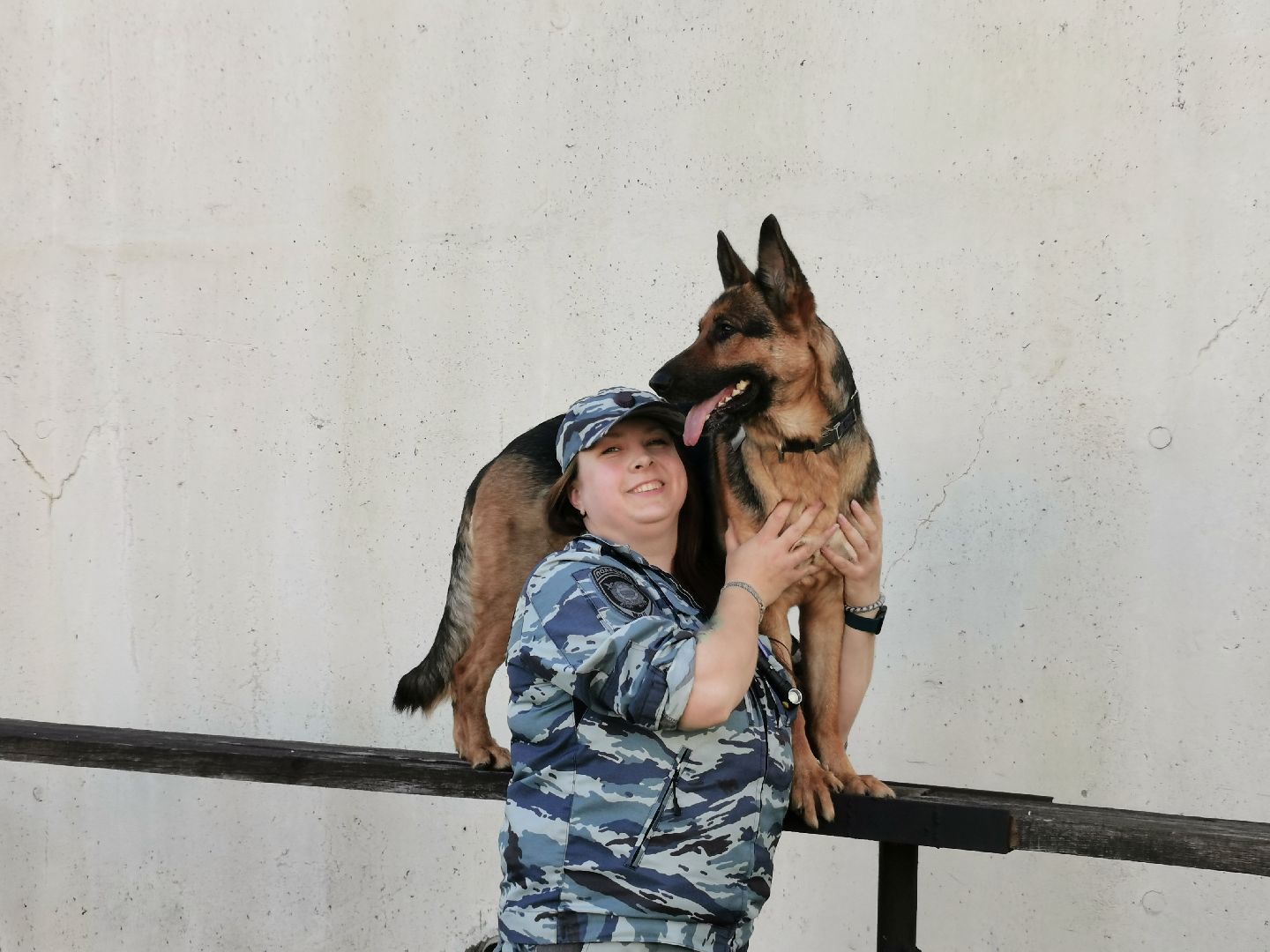 Подольск, полиция, собаки