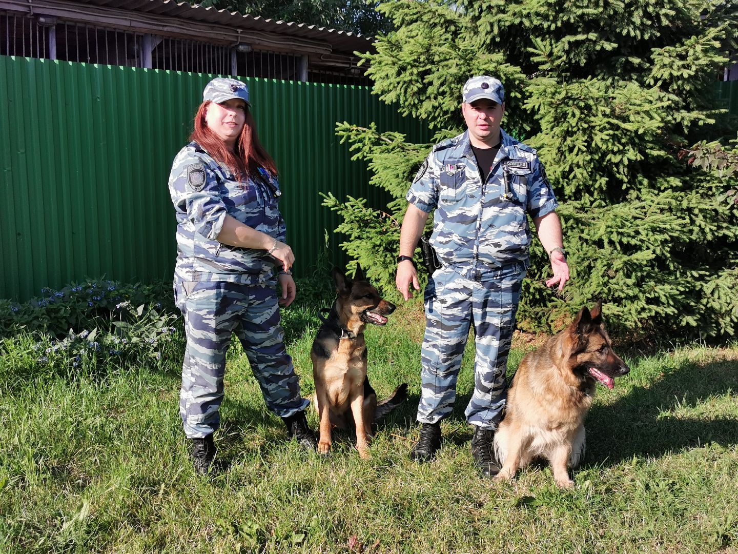 Подольск, полиция, собаки