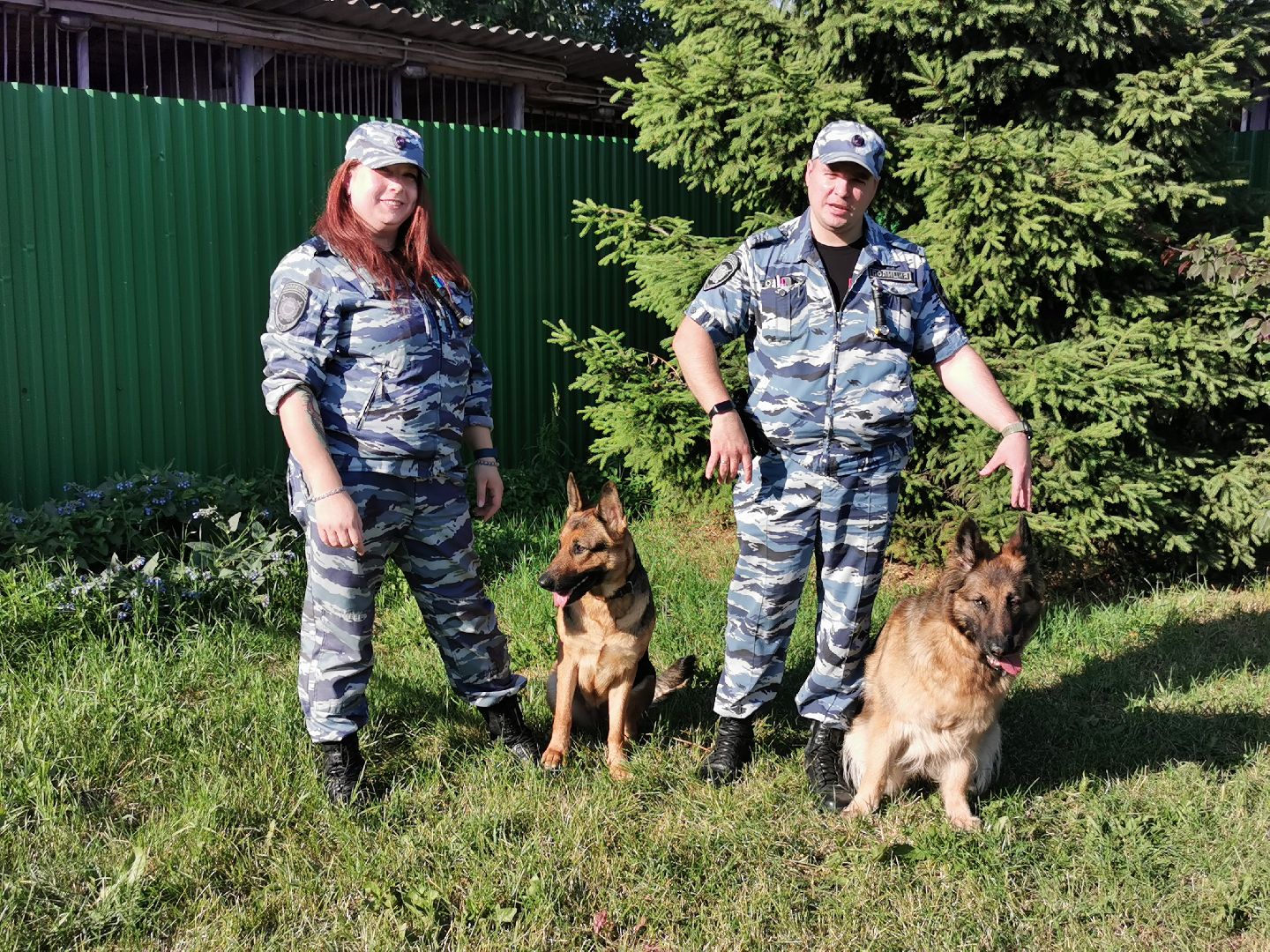 Подольск, полиция, собаки