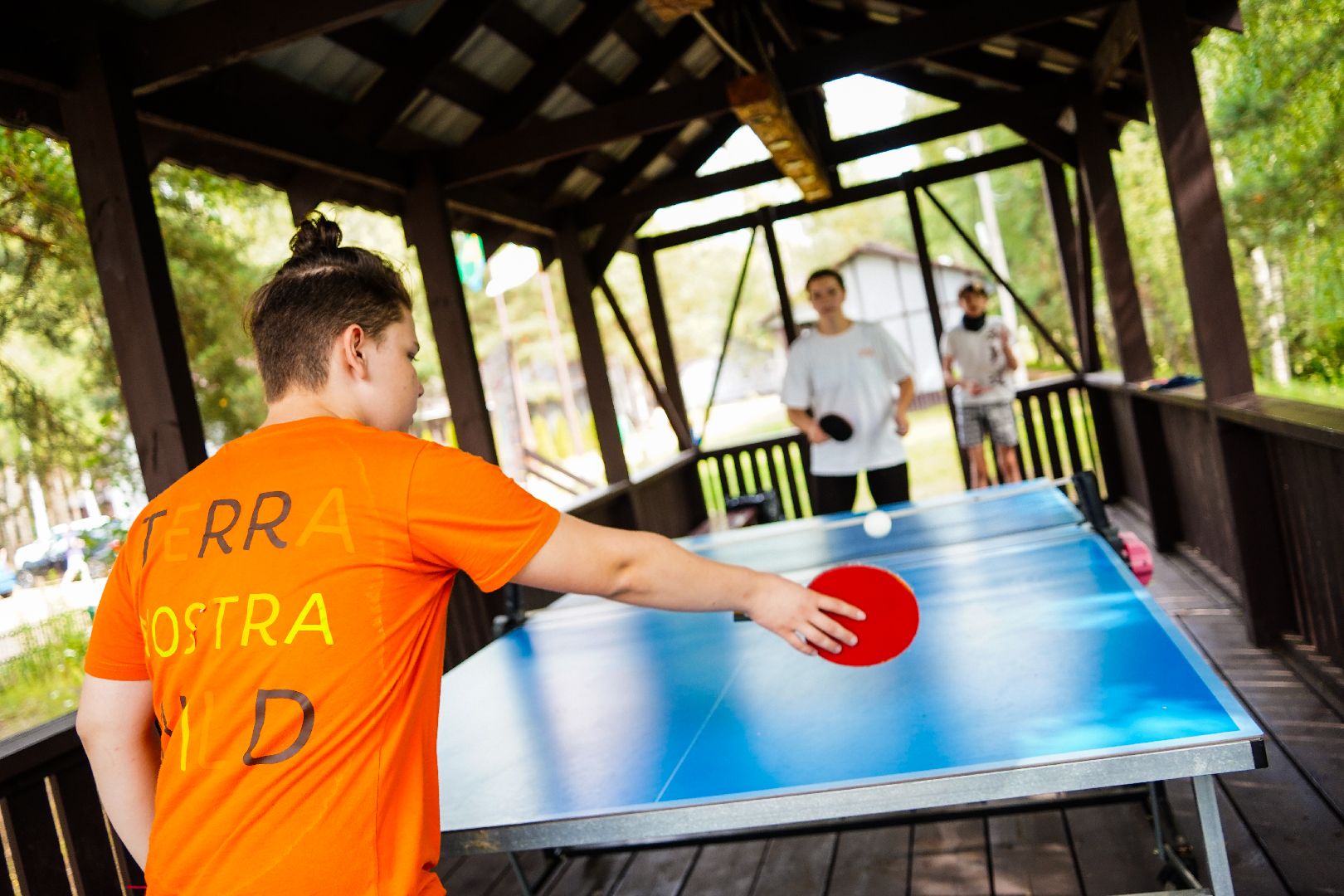 #БольшаяШатура#ТерраНостра#настольный теннис#Бордуки