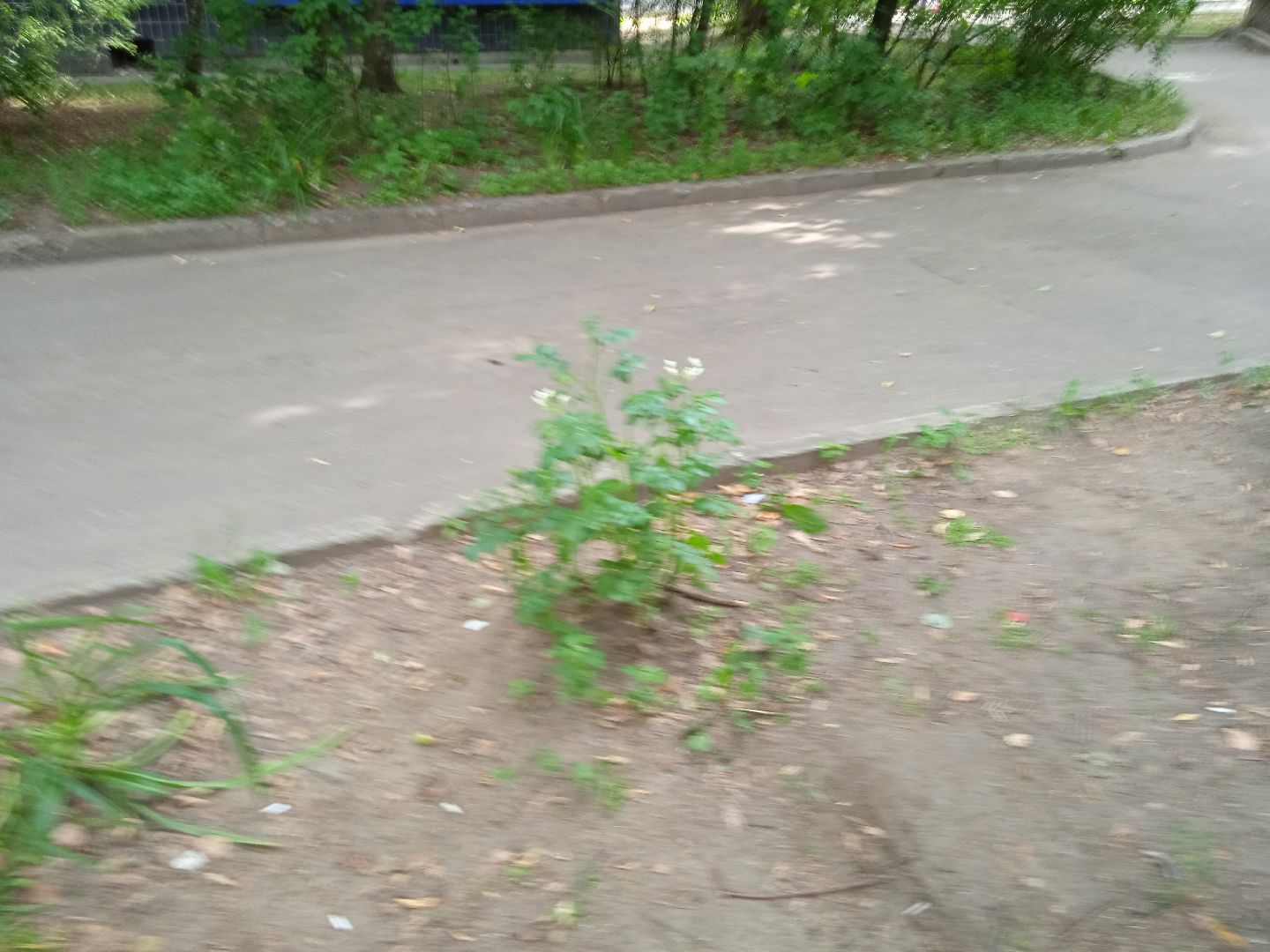 картошка, набережная, Циолковского