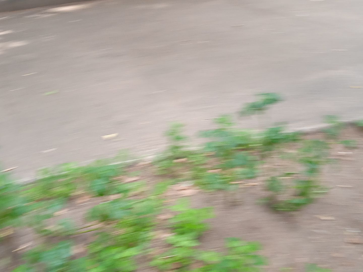 картошка, набережная, Циолковского