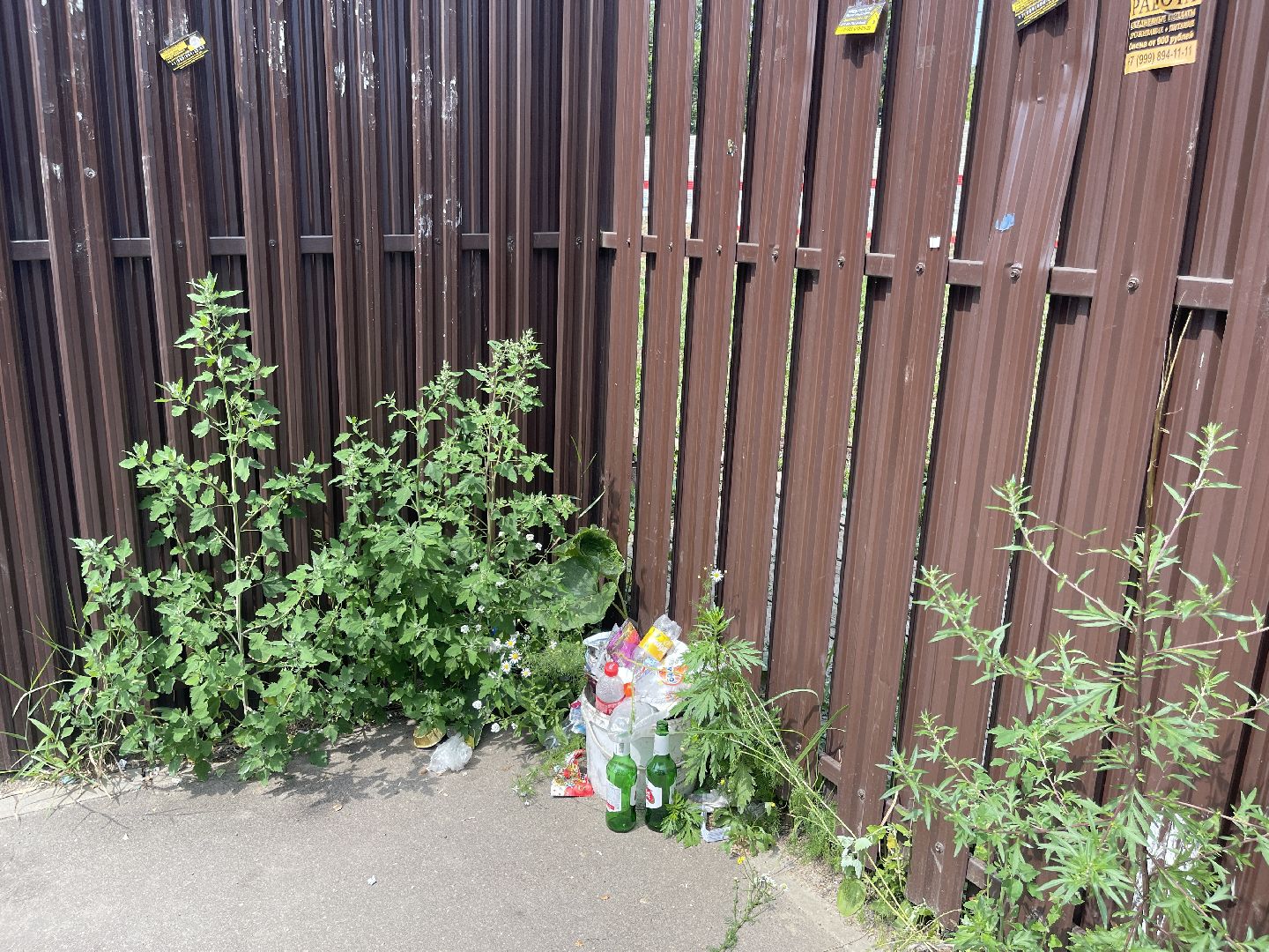 Одинцово, Немчиновка, РЖД, Рузский региональный оператор, мусор, станция, МЦД,