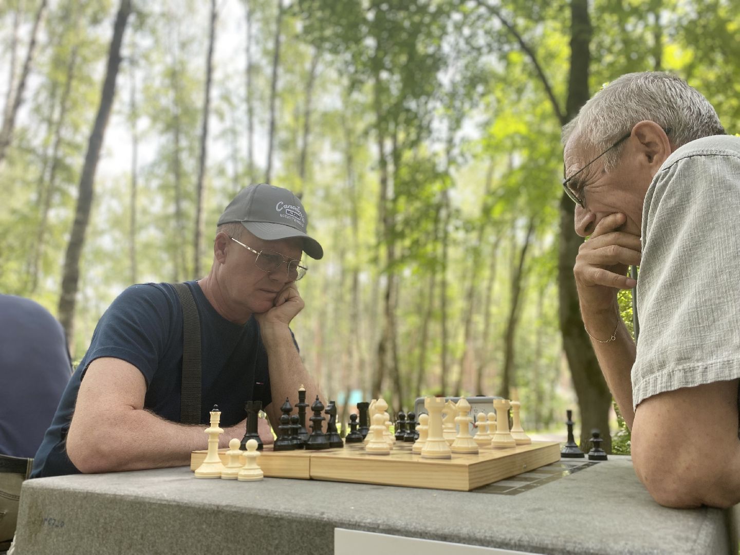 Домодедово, турнир, шахматы, активное долголетие