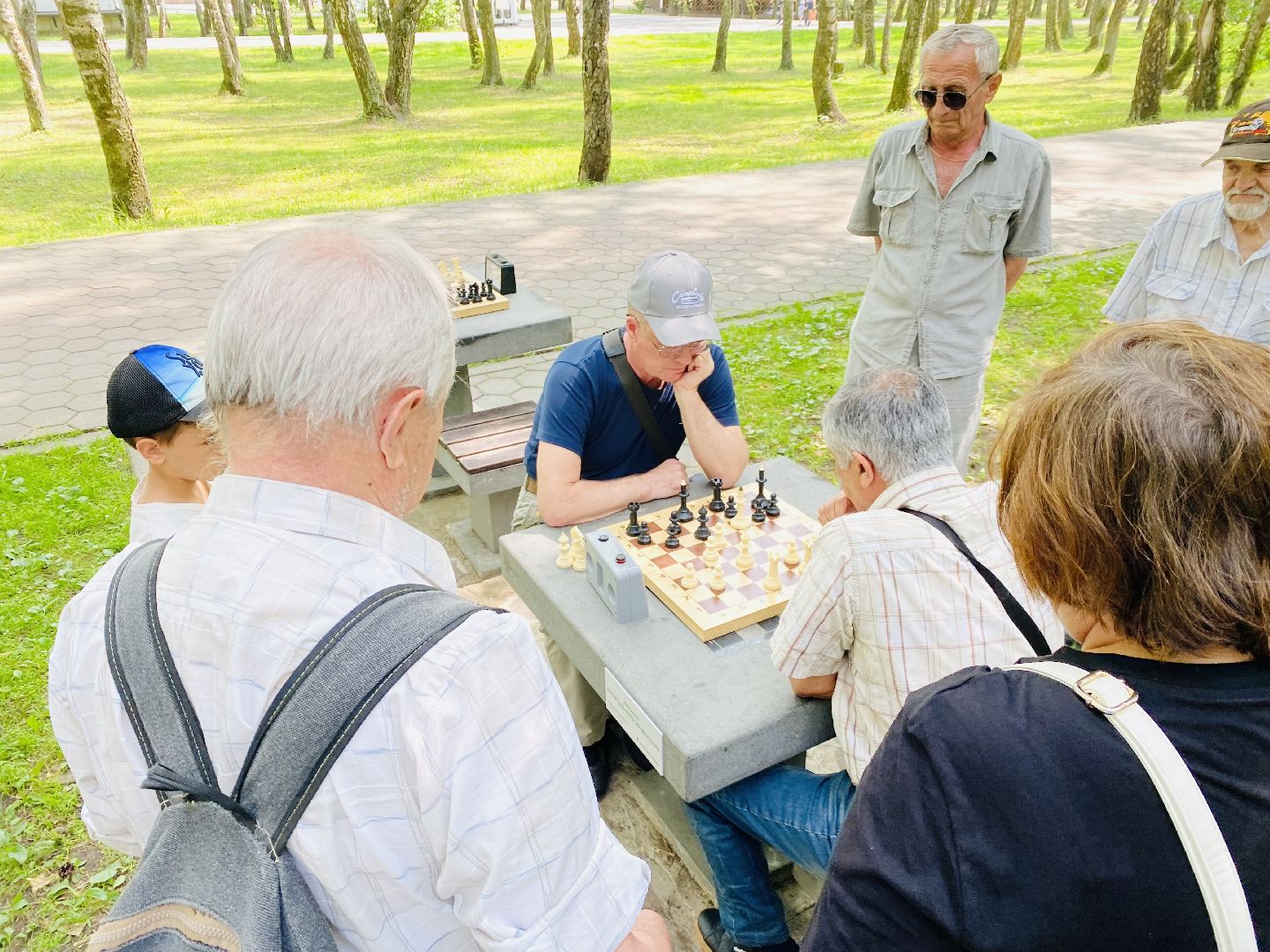 Домодедово, турнир, шахматы, активное долголетие