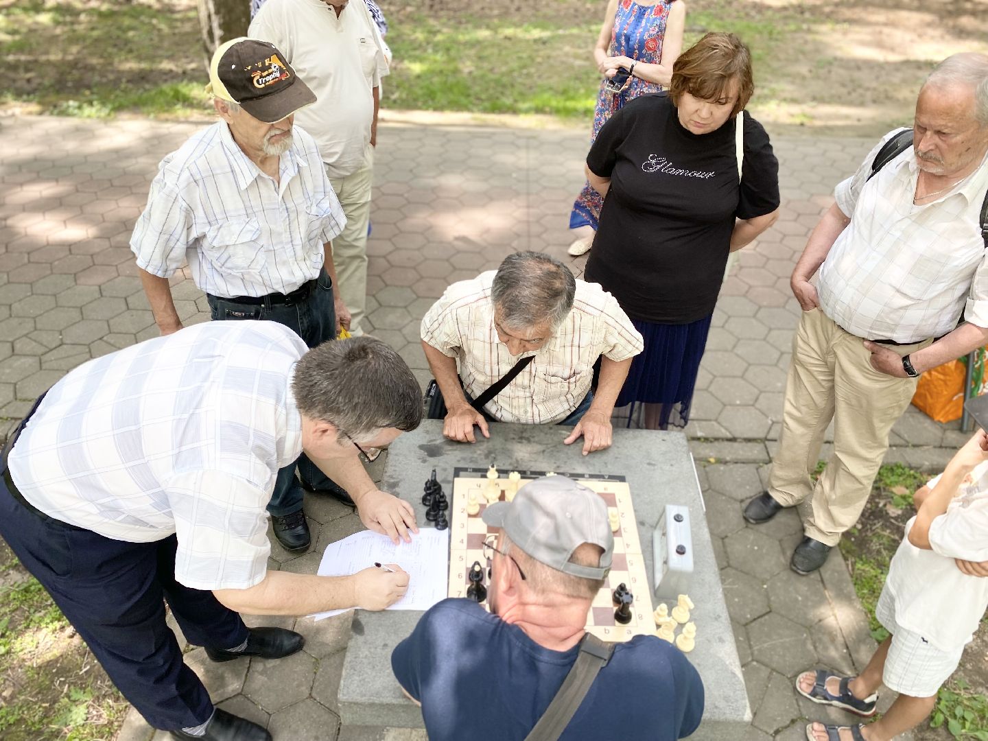 Домодедово, турнир, шахматы, активное долголетие