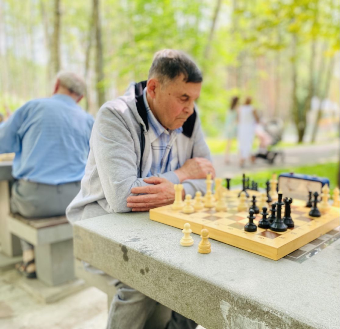 Домодедово, турнир, шахматы, активное долголетие
