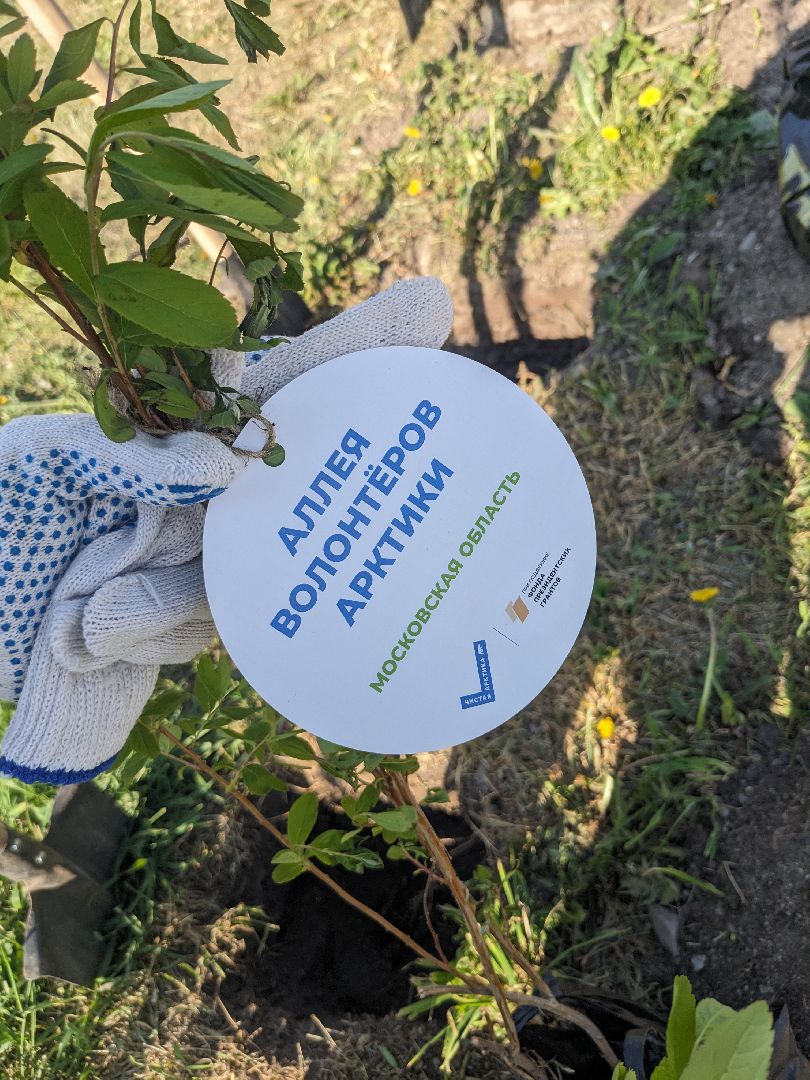 Балашиха, Подмосковье, экология, Вода России, Арктика. Лед тронулся