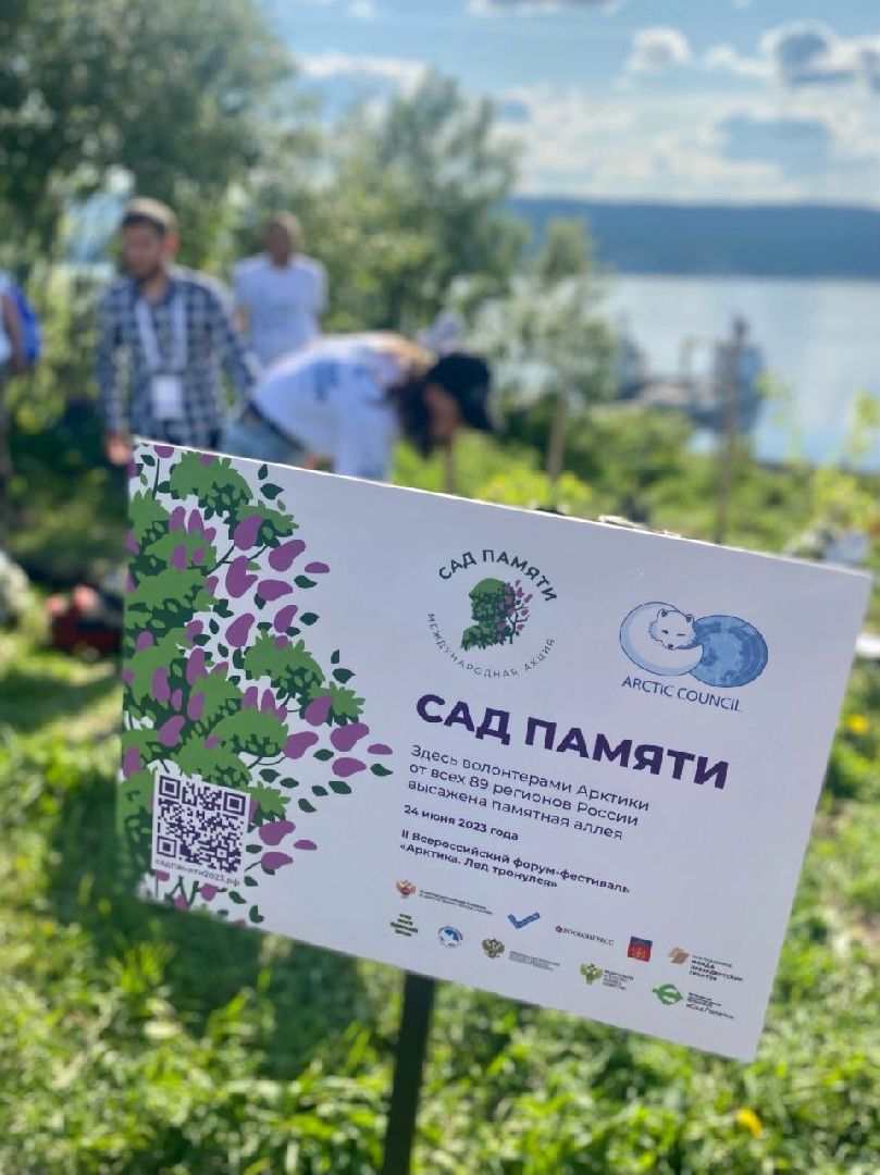 Балашиха, Подмосковье, экология, Вода России, Арктика. Лед тронулся