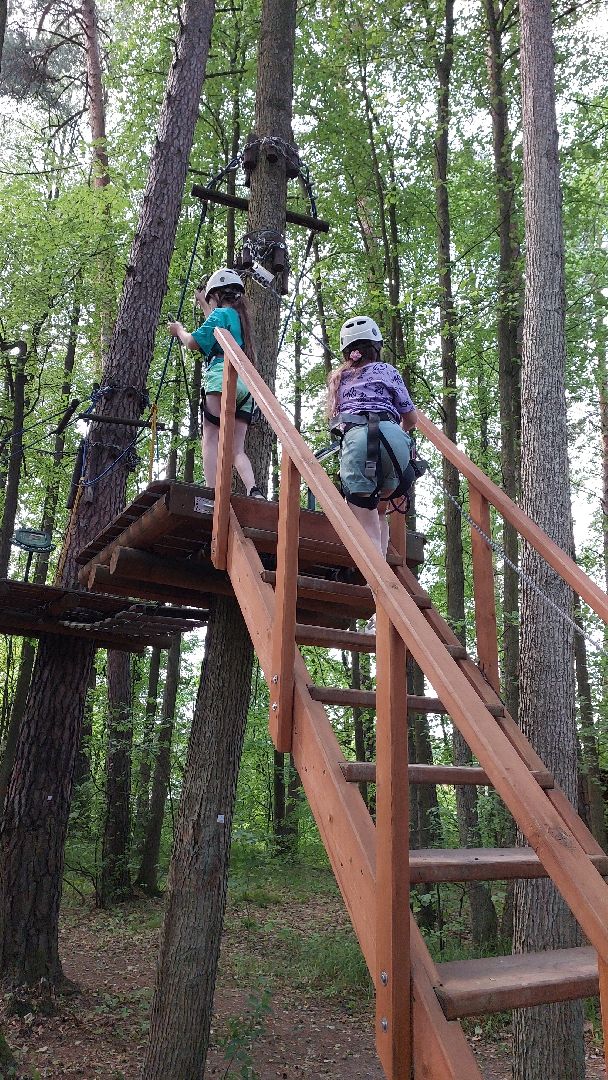 туризм, заповедник, экотропа, дерево, серпухов, каникулы, дети,