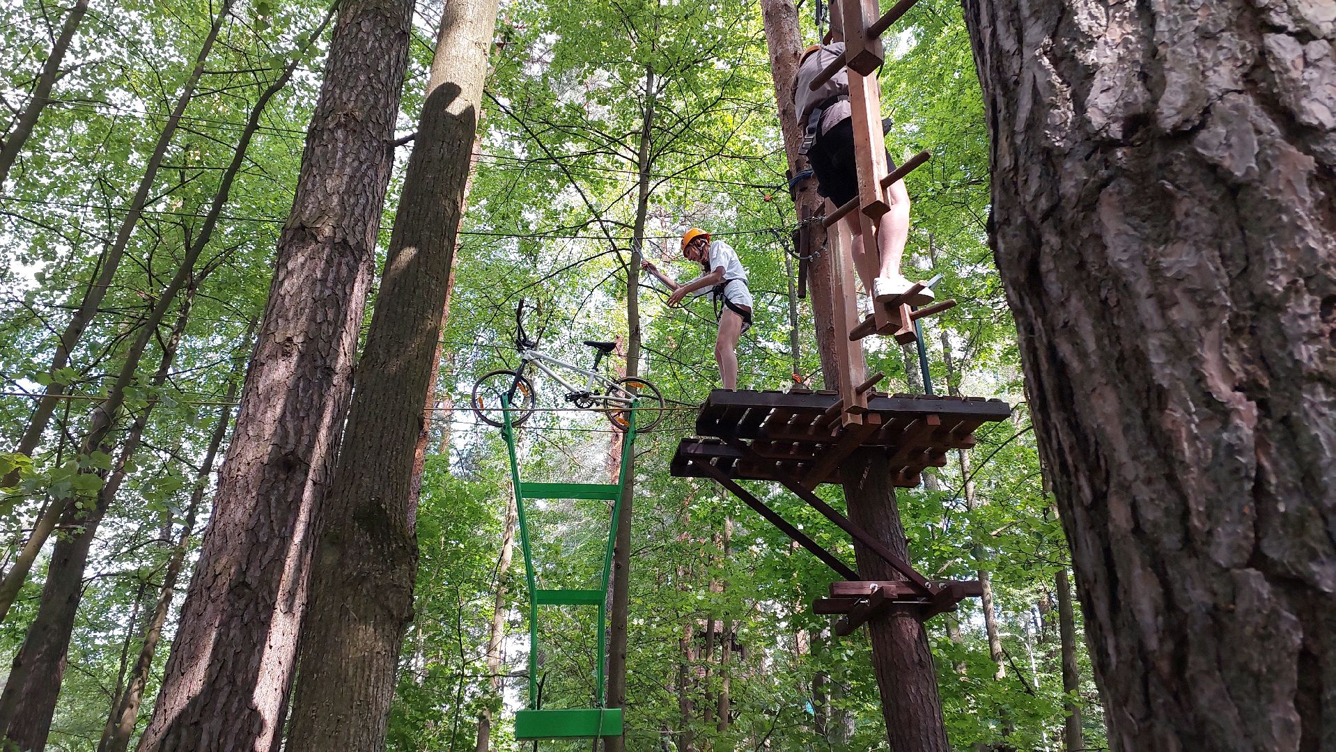 туризм, заповедник, экотропа, дерево, серпухов, каникулы, дети,