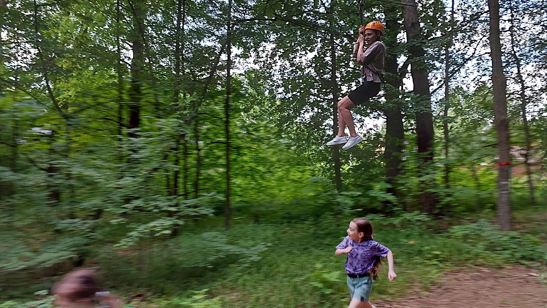 туризм, заповедник, экотропа, дерево, серпухов, каникулы, дети,