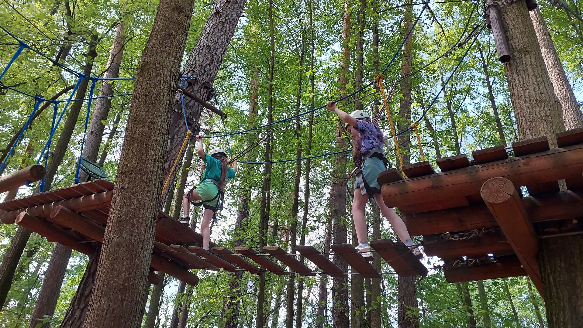 туризм, заповедник, экотропа, дерево, серпухов, каникулы, дети,