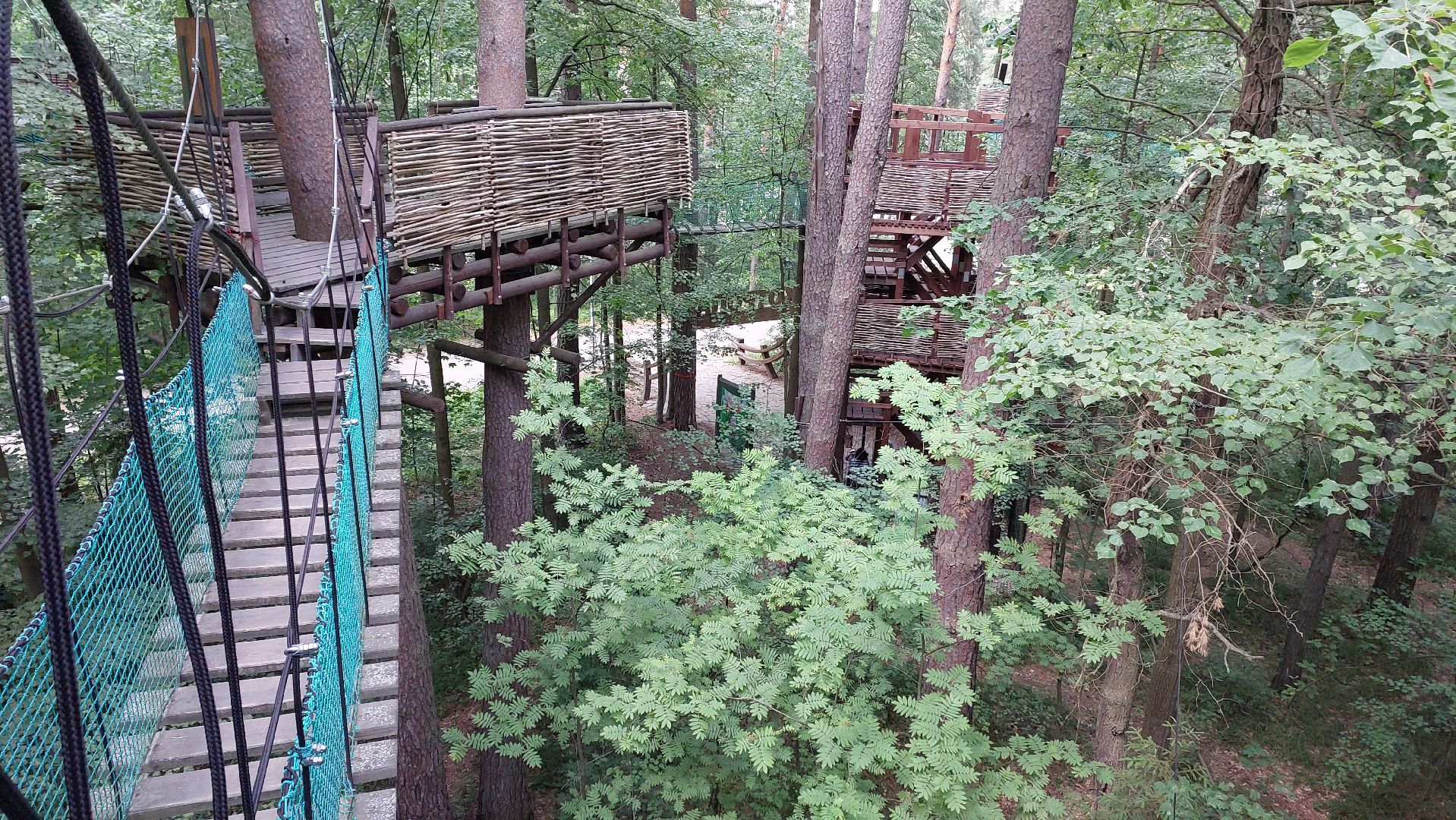 туризм, заповедник, экотропа, дерево, серпухов, каникулы, дети,