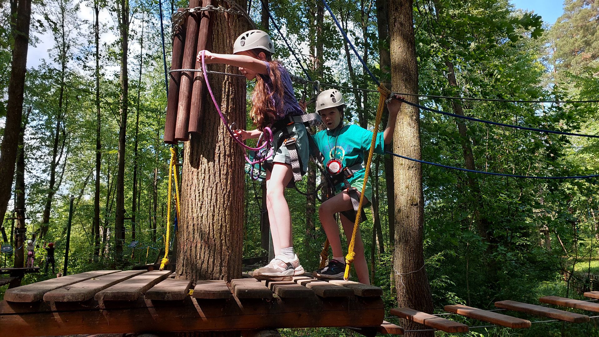 туризм, заповедник, экотропа, дерево, серпухов, каникулы, дети,