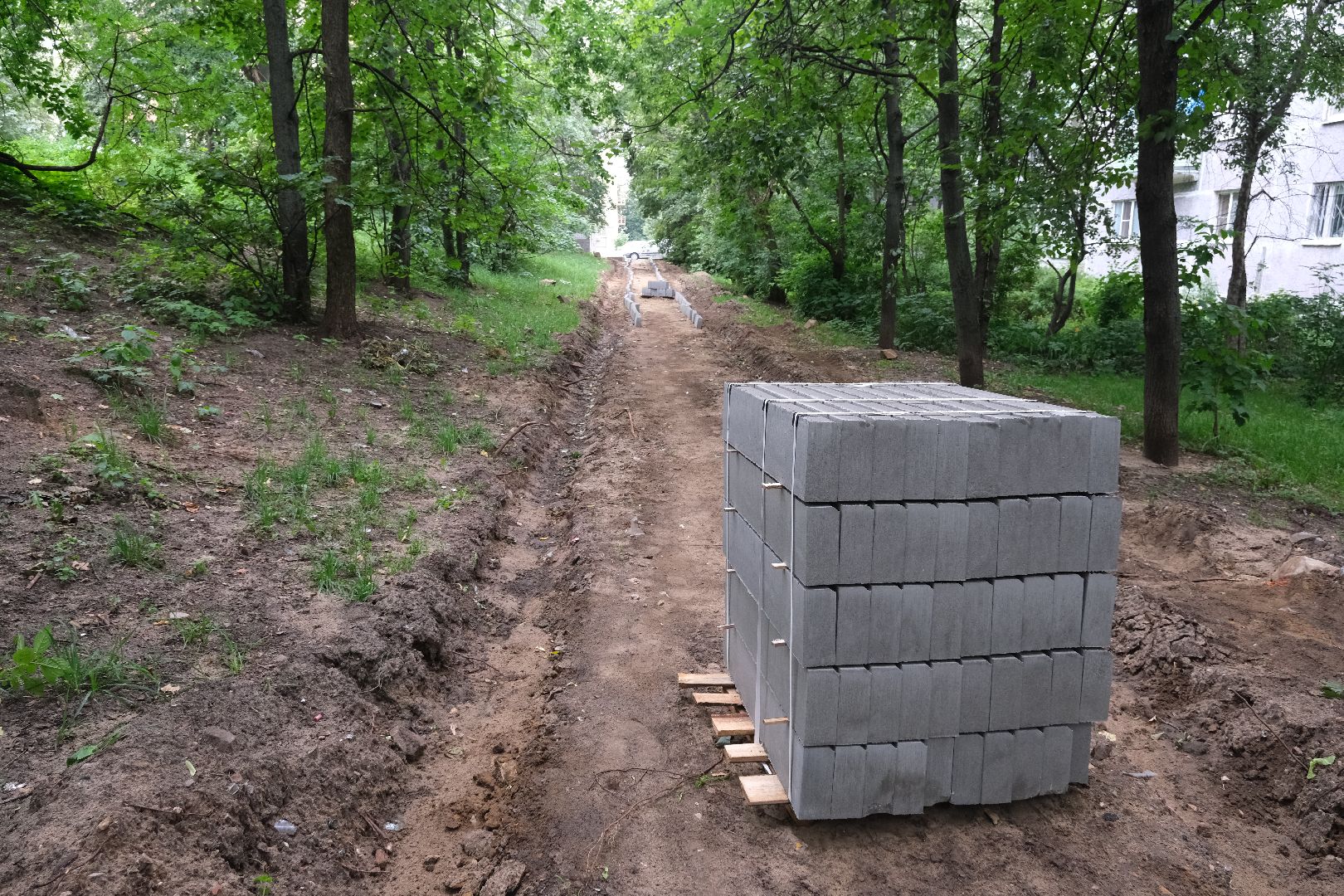 лыткарино, дороги, пешком, народные тропы,